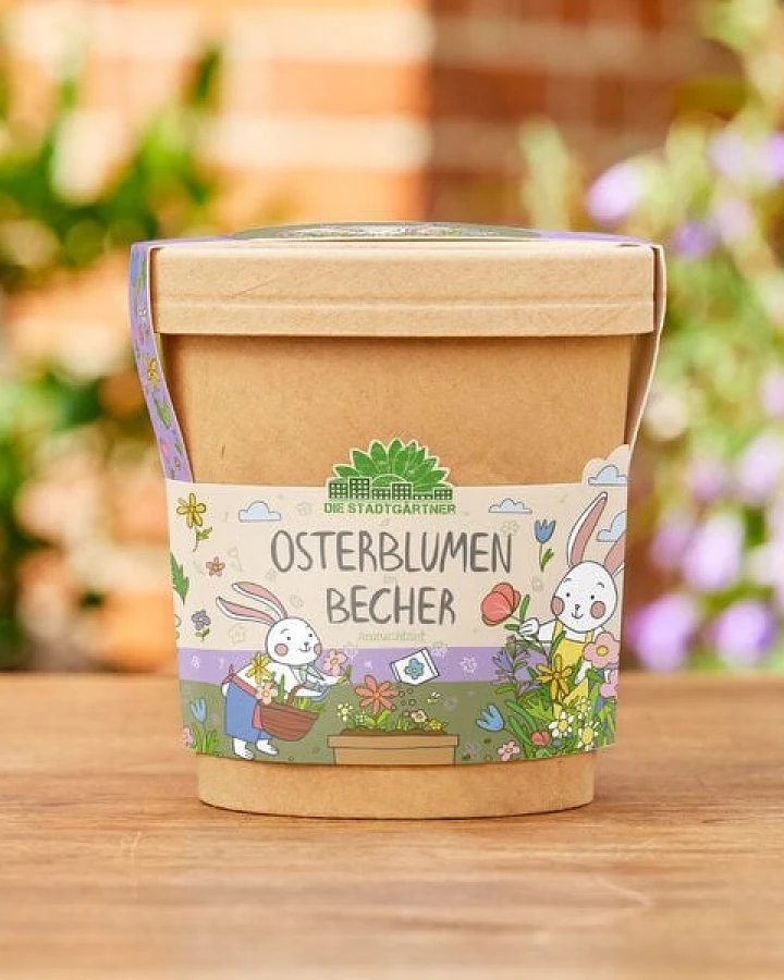 Die Stadtgärtner Blümchen aus dem Becher I Ostergeschenk für Kinder, Mama, Papa, Erwachsene I Geschenk für den Frühling