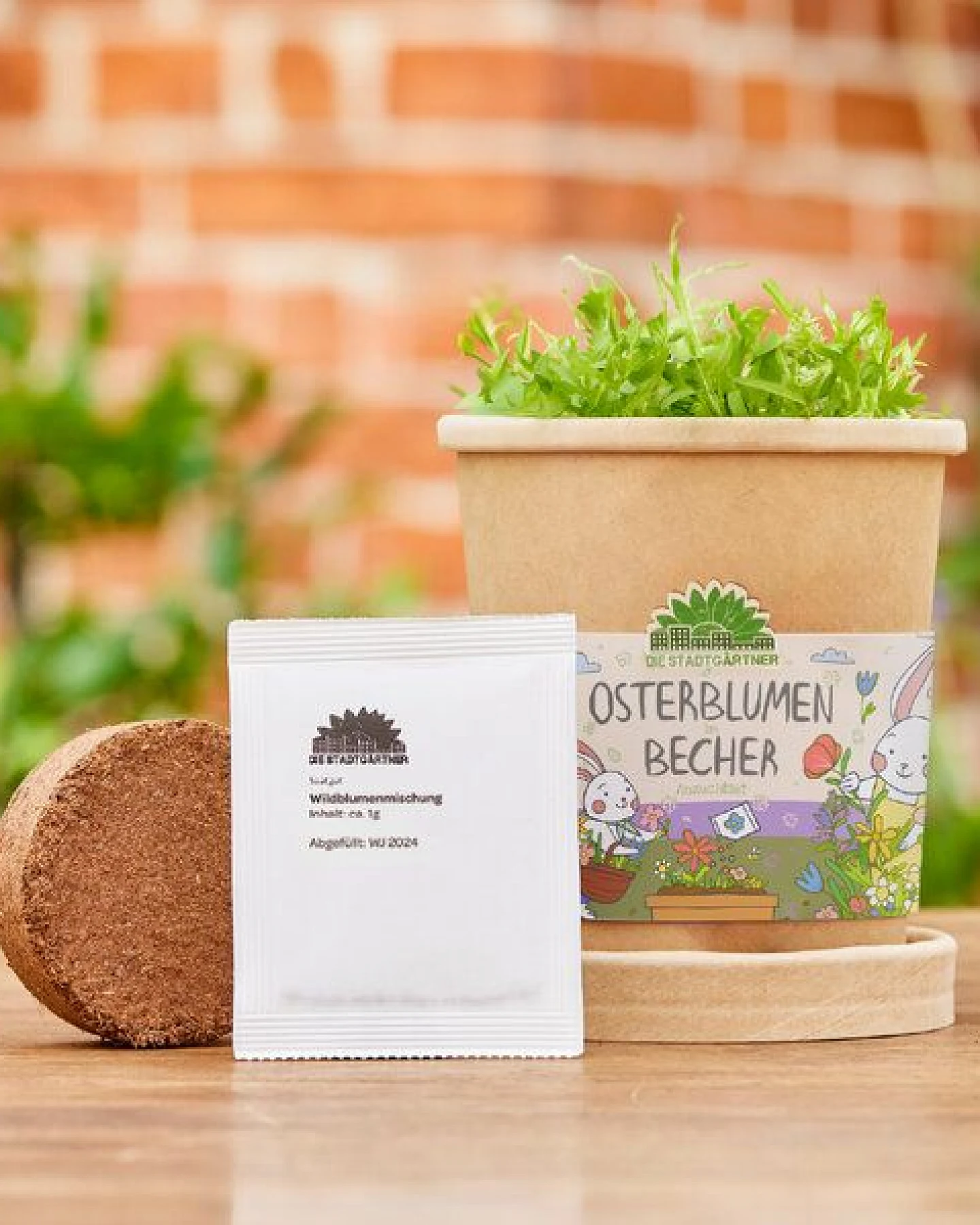 Die Stadtgärtner Blümchen aus dem Becher I Ostergeschenk für Kinder, Mama, Papa, Erwachsene I Geschenk für den Frühling – Ansicht 4