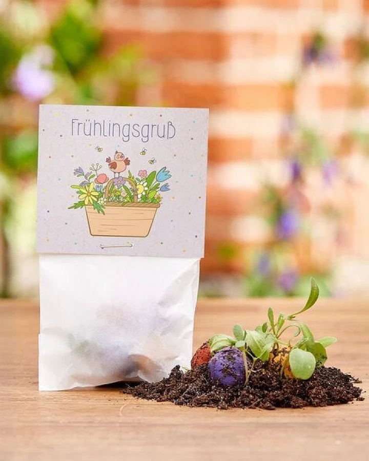 Die Stadtgärtner 10x5 Blumenmurmeln im Tütchen "Frühlingsgruß" I Ostergeschenk für Kinder I Kleinigkeit zu Ostern I Geschenk zu Ostern I Kleine Geschenk für Osternest oder Osterkörbchen