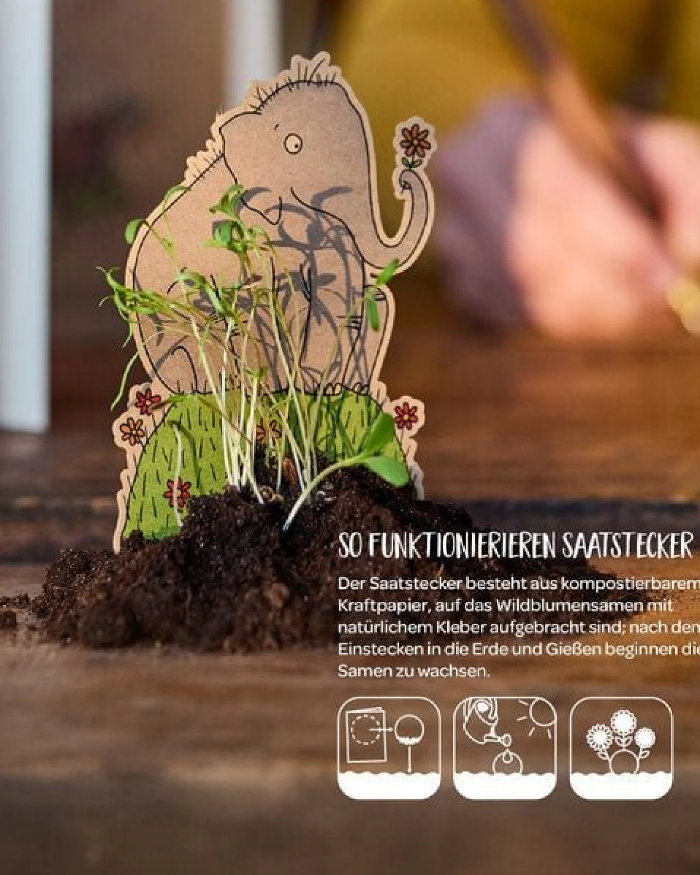 Die Stadtgärtner Osterkarte "Hurra, der Frühling kommt" I Karte zu Ostern I Ostergrußkarte mit Saatgut I Grußkarte "Frohe Ostern" – Ansicht 4