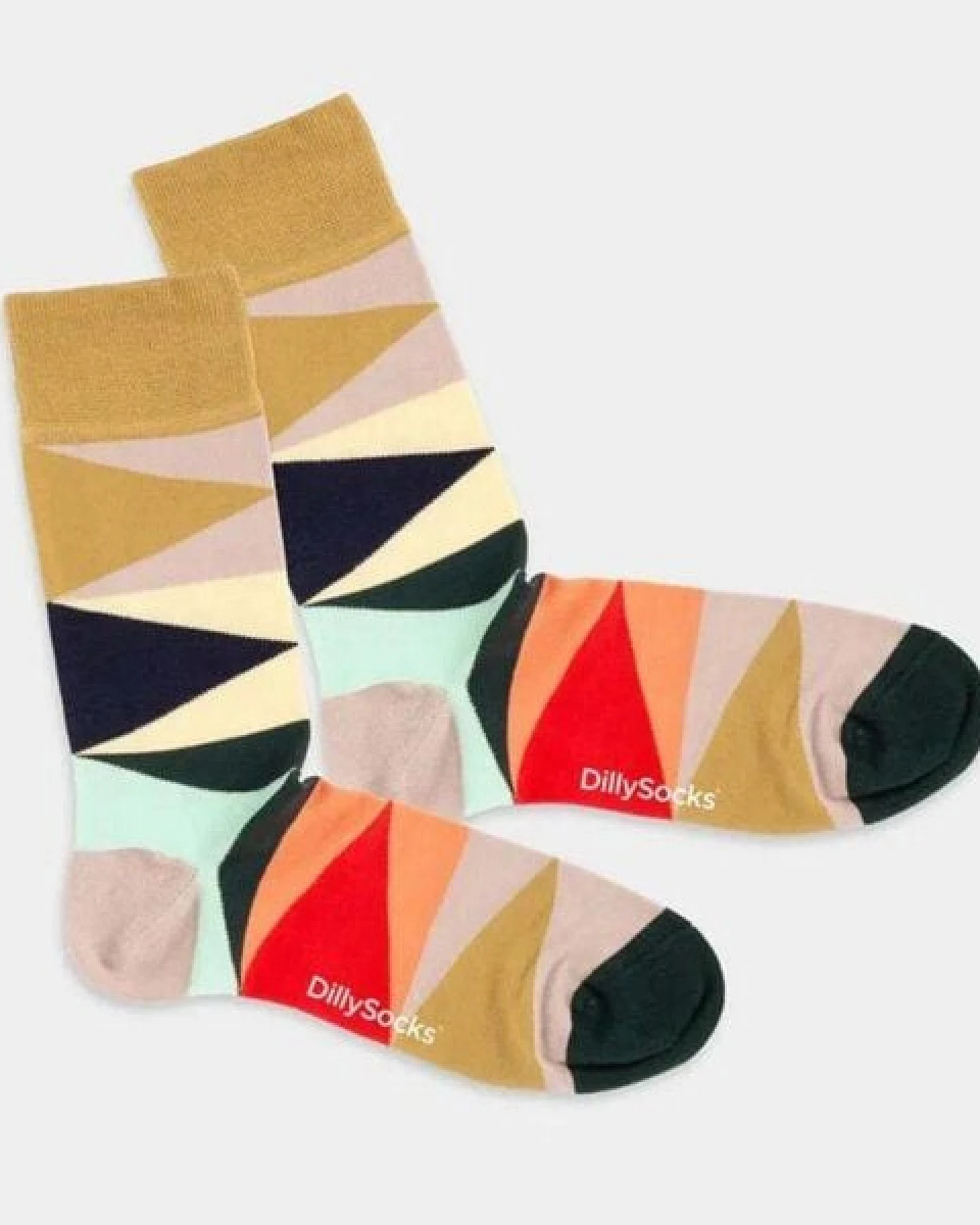 DillySocks Socken TAPERED COLORS – Ansicht 2
