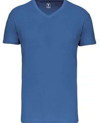 Light Royal Blue