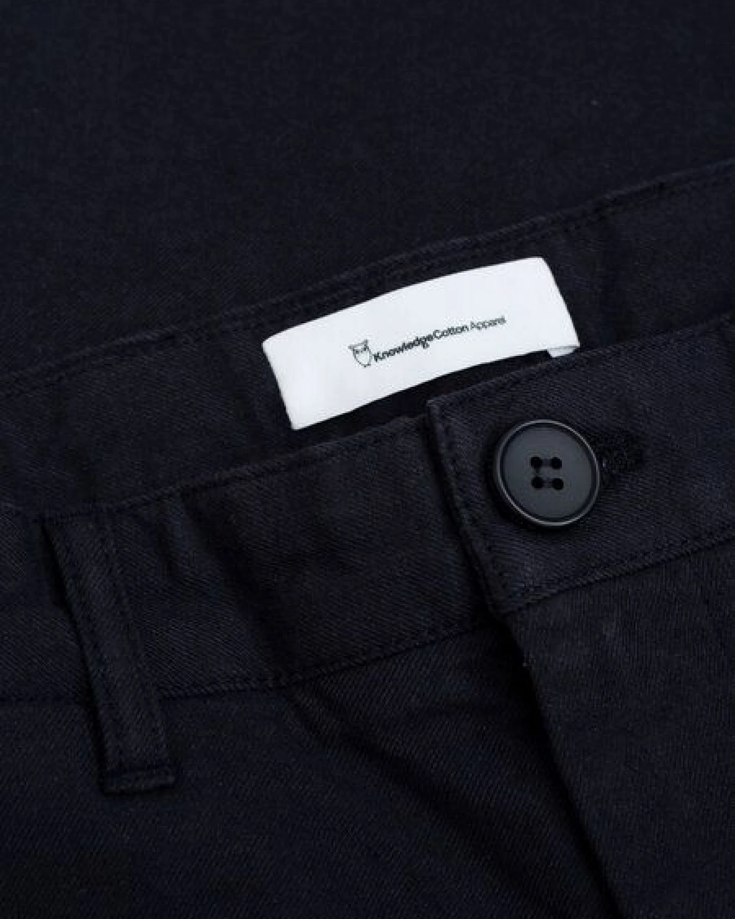KnowledgeCotton Apparel Flanell-Chino-Hose CHUCK – Ansicht 4