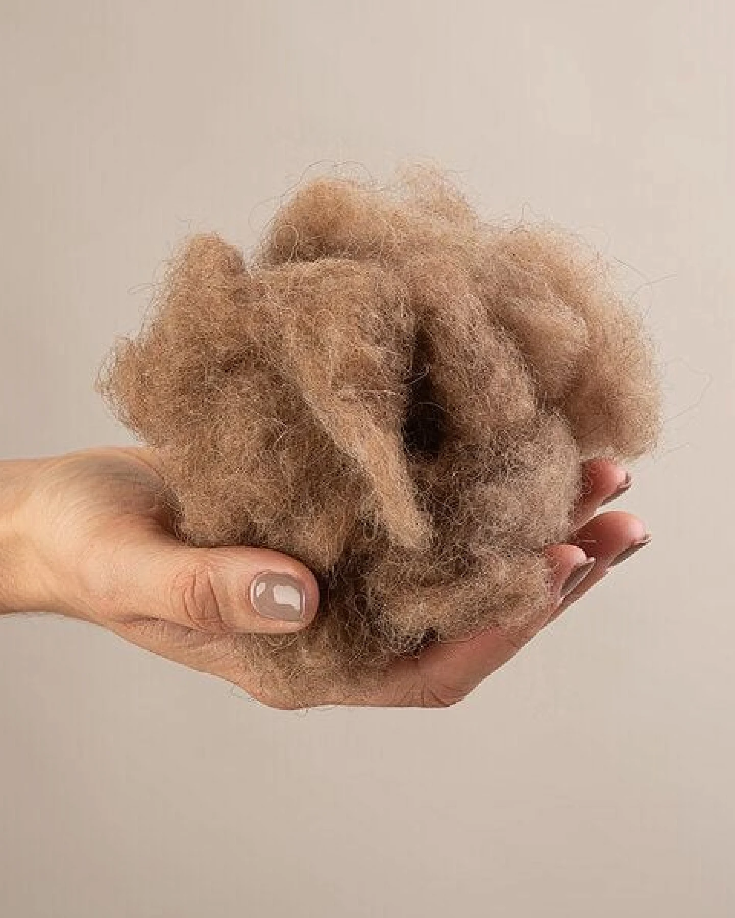 grünvergnügt by purNatour Kamelhaar Sommer extra Leicht-Bettdecke mit Bio Baumwolle (kbA) – Ansicht 3