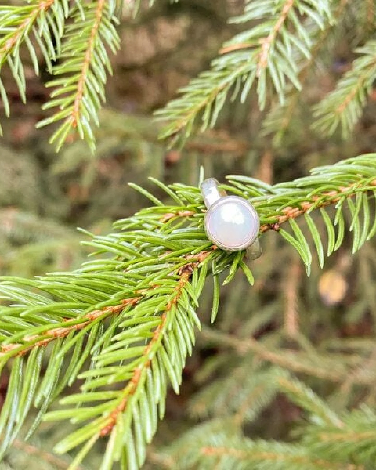 pakilia Silber Ring Filigrane Perlen Fair-Trade und handmade – Ansicht 4