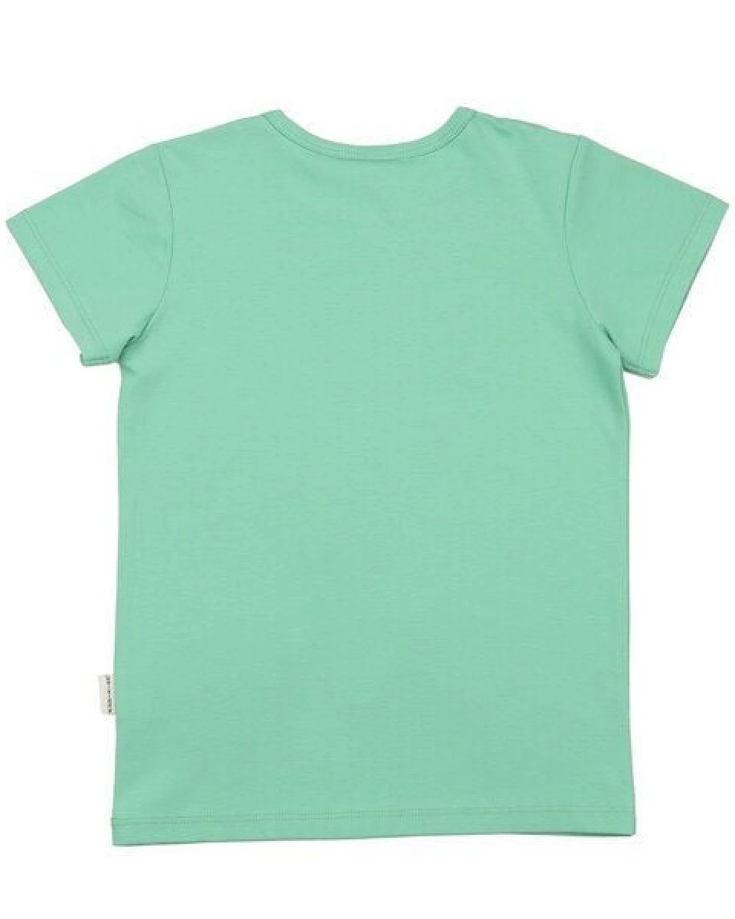 Kinder T-Shirt GOTS zertifiziert, Bio-Baumwolle, mintgrün, Dinosaurier-Print, weich & bequem – Walkiddy – Ansicht 4