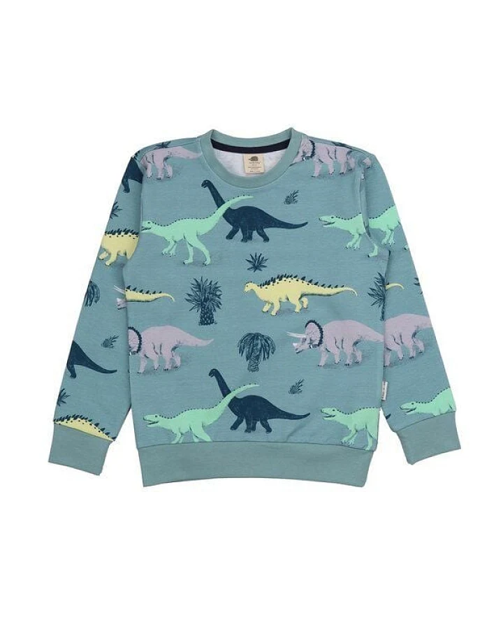 Kinder Sweatshirt GOTS-zertifiziert aus Bio-Baumwolle blaugrün mit Dinosaurier-Motiv – Walkiddy