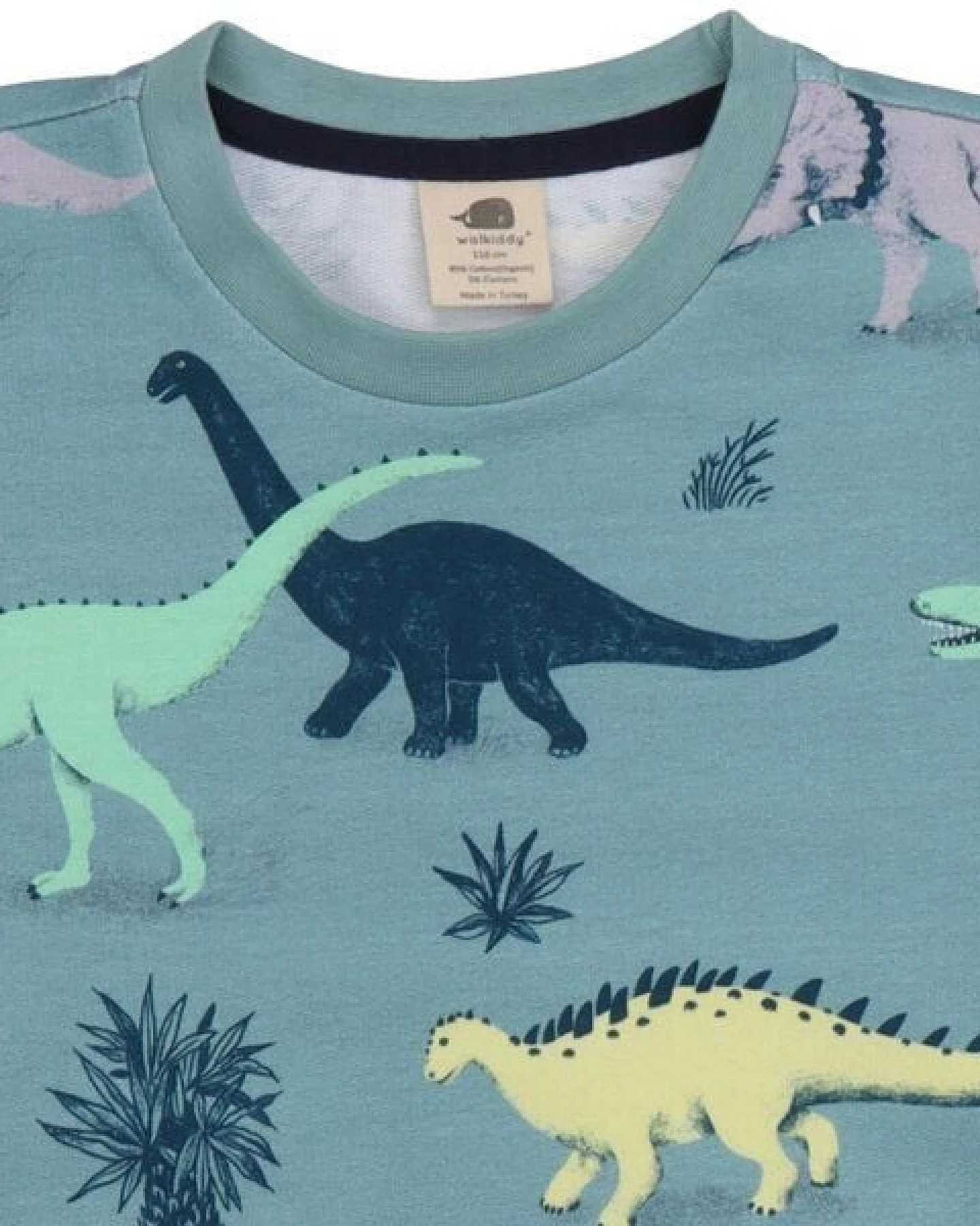 Kinder Sweatshirt GOTS-zertifiziert aus Bio-Baumwolle blaugrün mit Dinosaurier-Motiv – Walkiddy – Ansicht 3