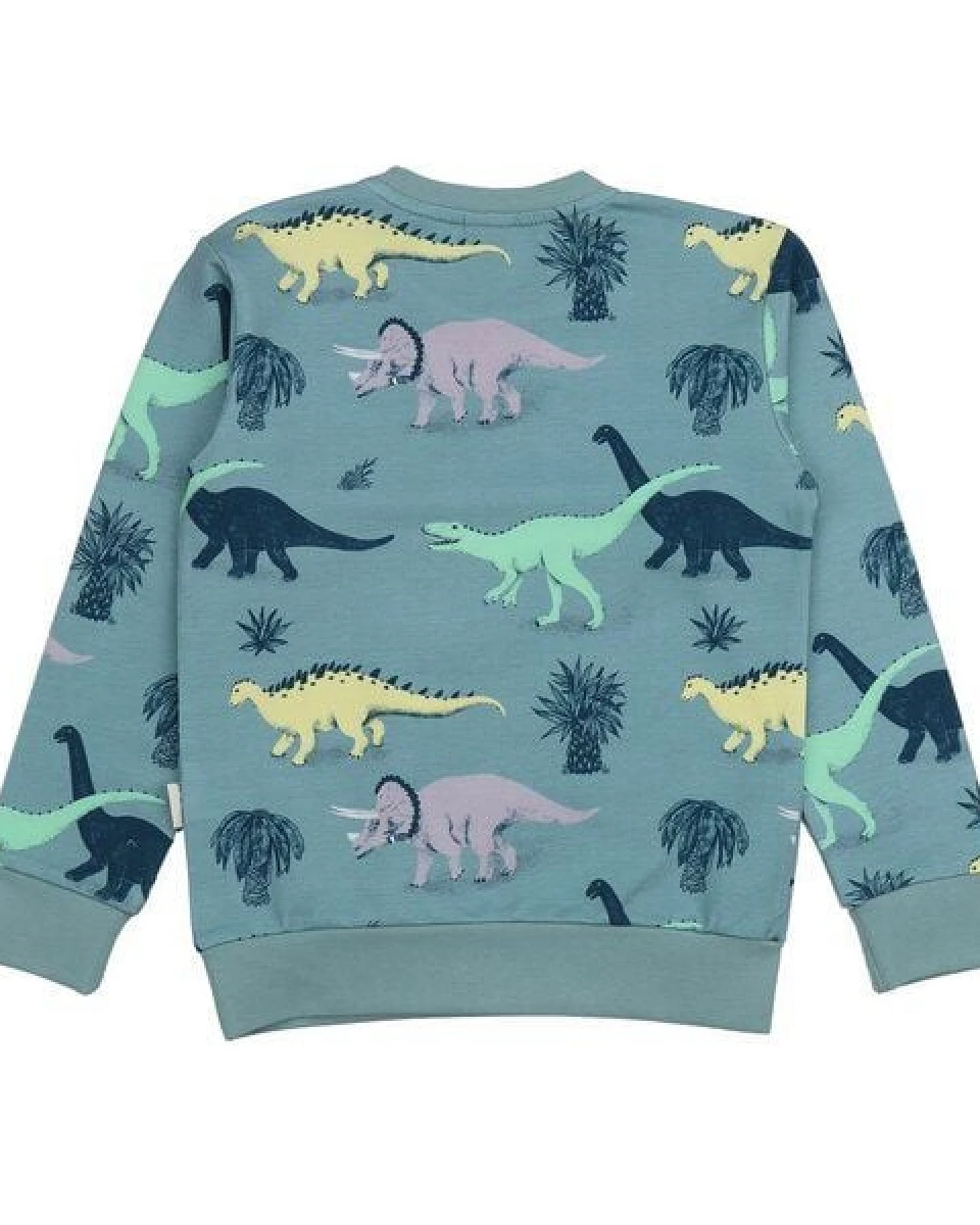 Kinder Sweatshirt GOTS-zertifiziert aus Bio-Baumwolle blaugrün mit Dinosaurier-Motiv – Walkiddy – Ansicht 4