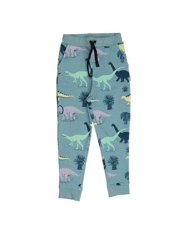 Kinder Jogginghose GOTS-zertifiziert aus Bio-Baumwolle hellblau mit Dinosaurier-Muster – Walkiddy