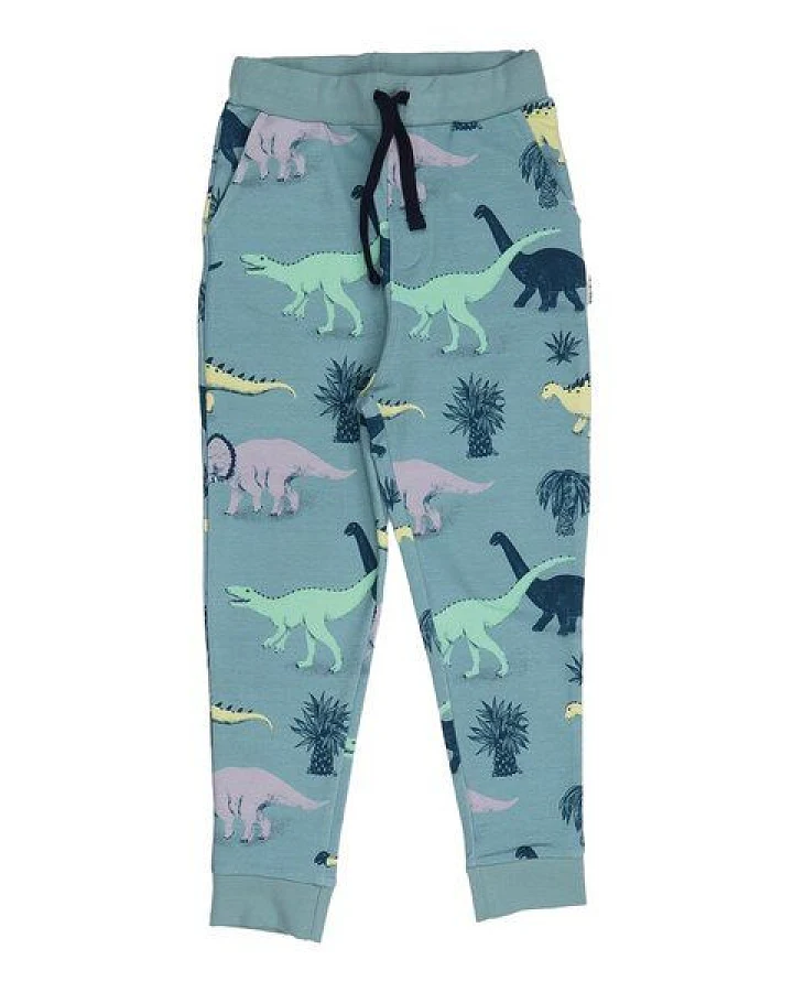 Kinder Jogginghose GOTS-zertifiziert aus Bio-Baumwolle hellblau mit Dinosaurier-Muster – Walkiddy