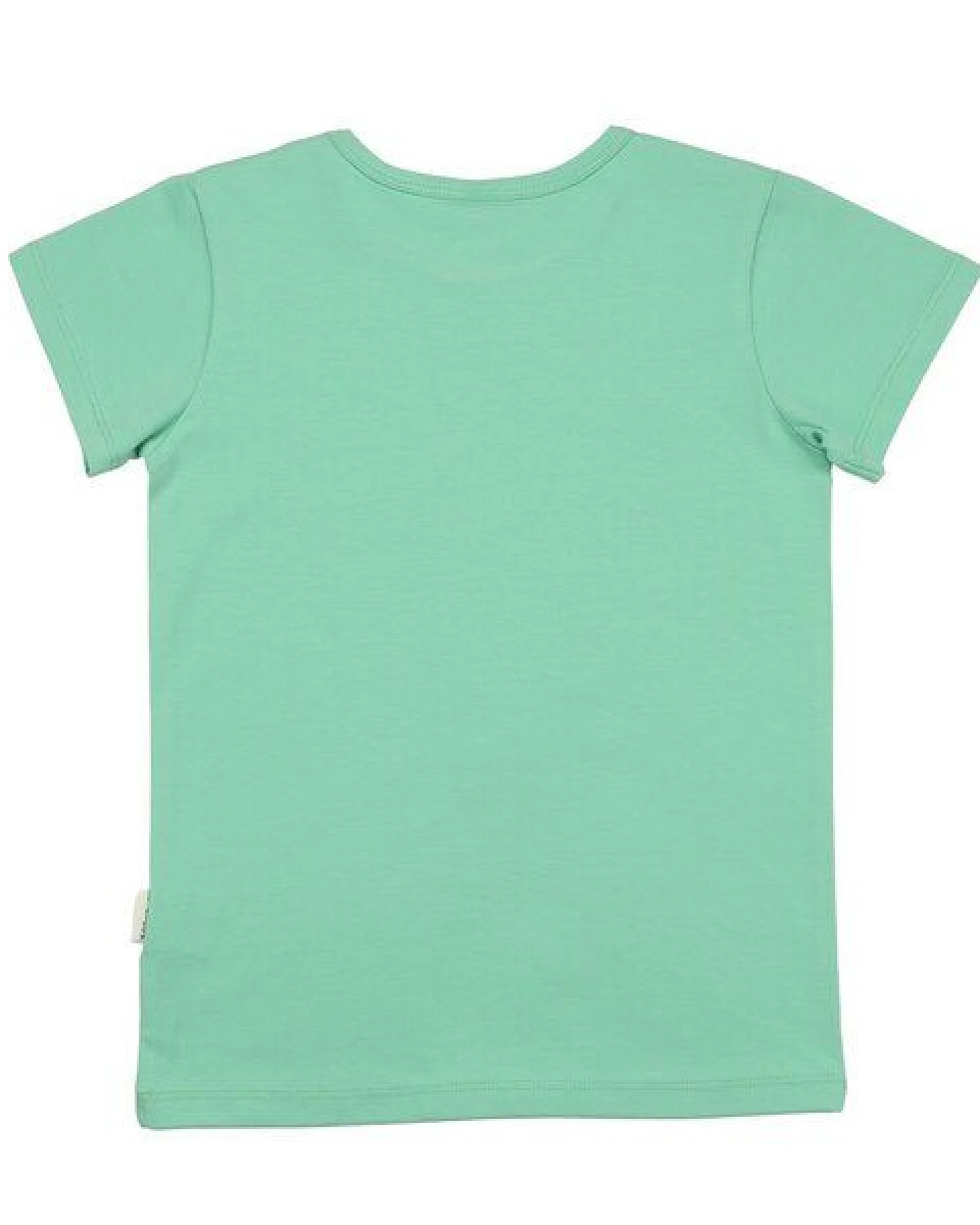 Kinder T-Shirt GOTS-zertifiziert aus Bio-Baumwolle, mint „Funny Crocodiles“, kurzarm mit Krokodilmotiv – Walkiddy, weich & hautfreundlich – Ansicht 3