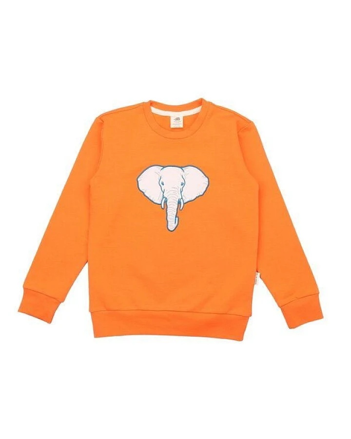 Kinder Sweatshirt GOTS-zertifiziert aus Bio-Baumwolle, orange mit Elefantenmotiv, langarm – Walkiddy, weich & hautfreundlich