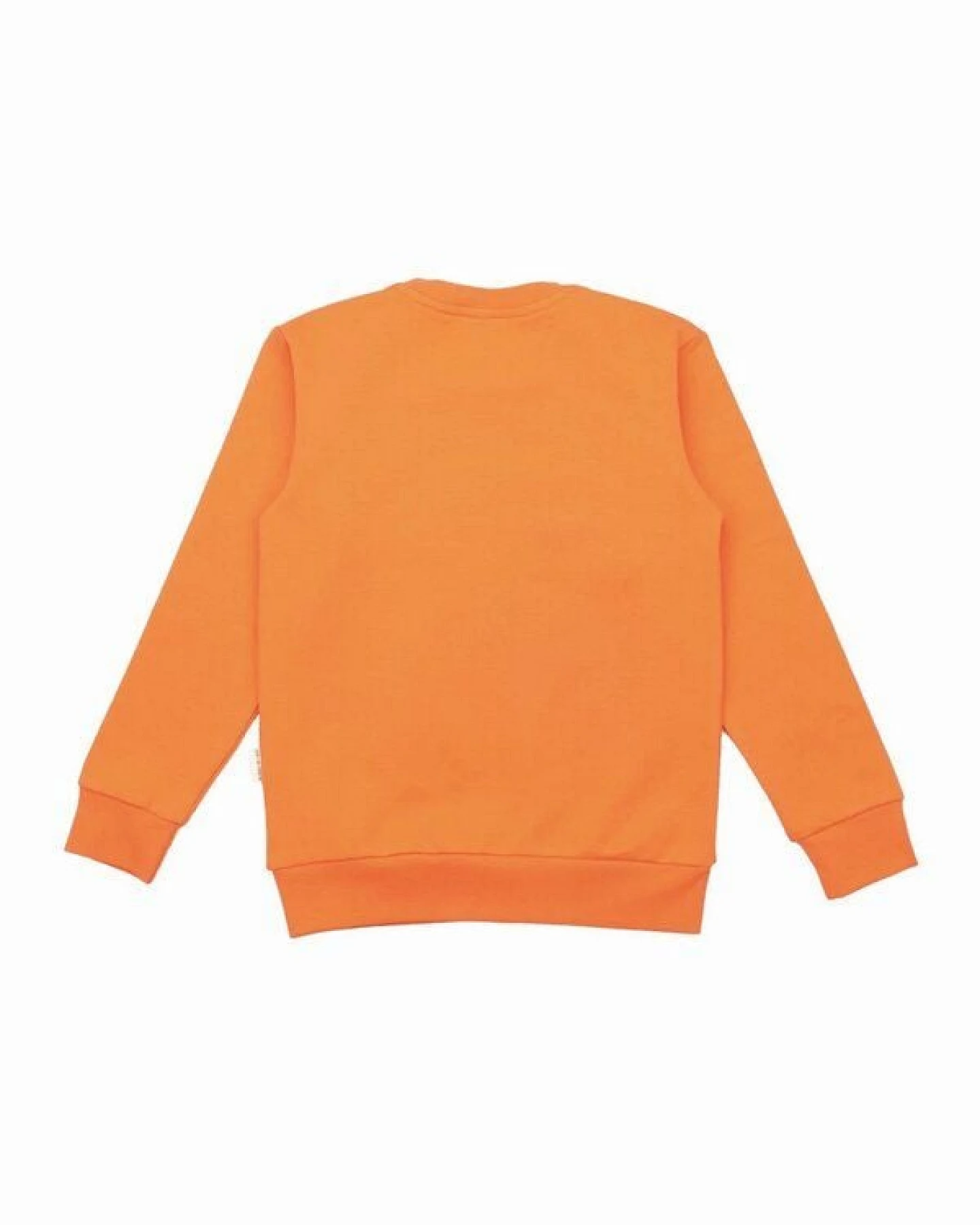 Kinder Sweatshirt GOTS-zertifiziert aus Bio-Baumwolle, orange mit Elefantenmotiv, langarm – Walkiddy, weich & hautfreundlich – Ansicht 4