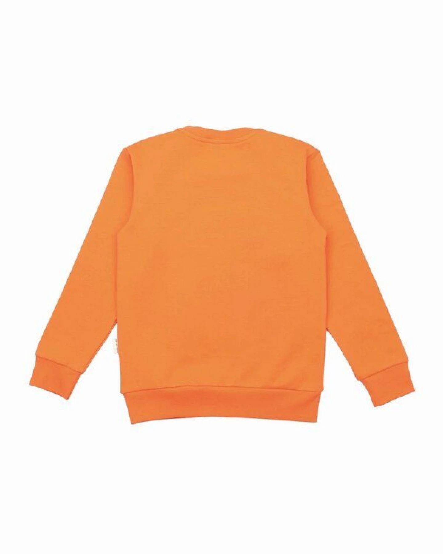 Kinder Sweatshirt GOTS-zertifiziert aus Bio-Baumwolle, orange mit Elefantenmotiv, langarm – Walkiddy, weich & hautfreundlich – Ansicht 4