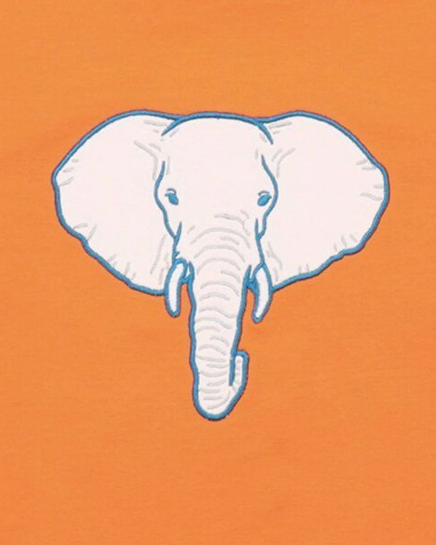 Kinder Sweatshirt GOTS-zertifiziert aus Bio-Baumwolle, orange mit Elefantenmotiv, langarm – Walkiddy, weich & hautfreundlich – Ansicht 3
