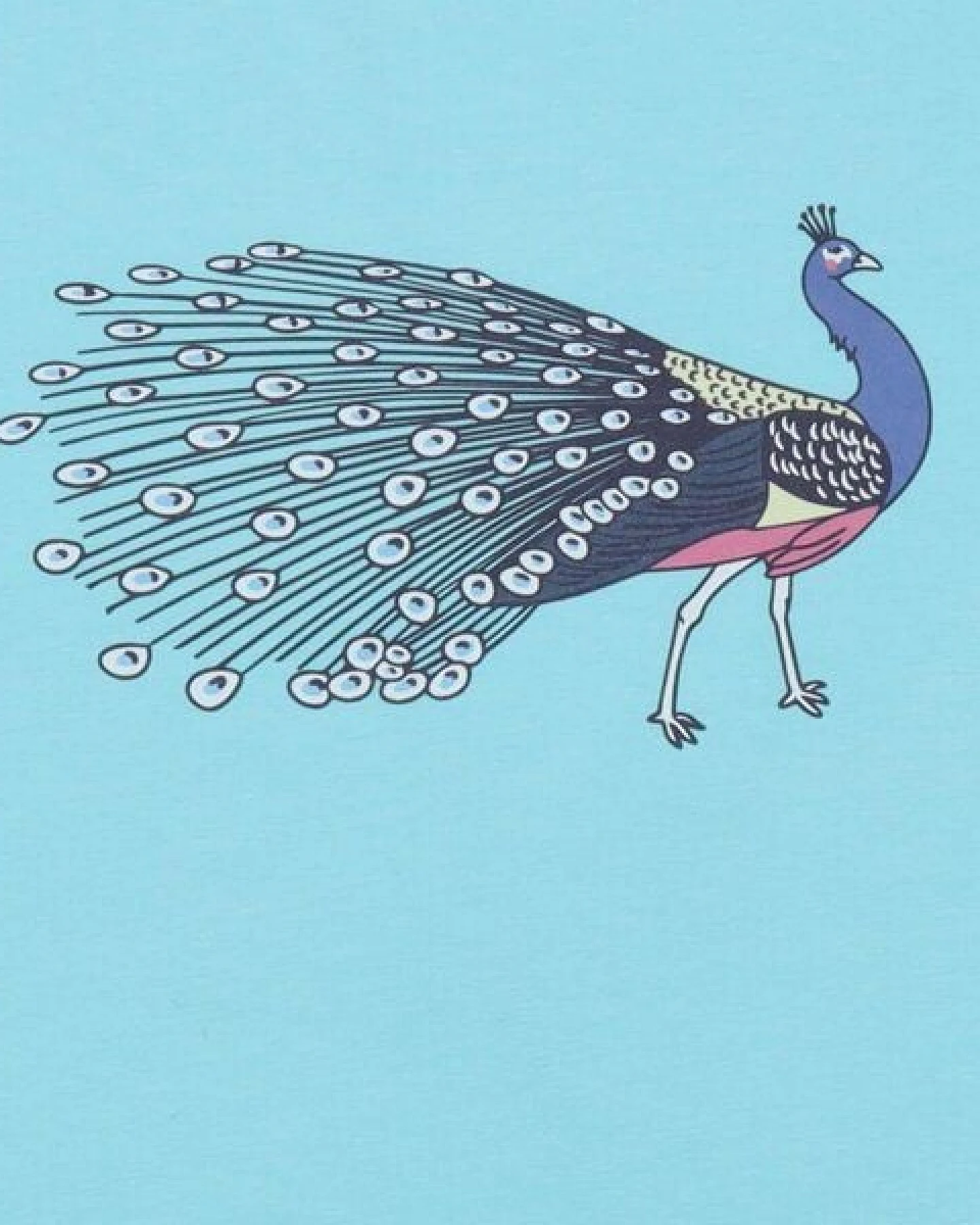Kinder T-Shirt GOTS zertifiziert, hellblau, Pfau-Print „Fancy Peacocks“, Bio-Baumwolle, weich – Walkiddy – Ansicht 3