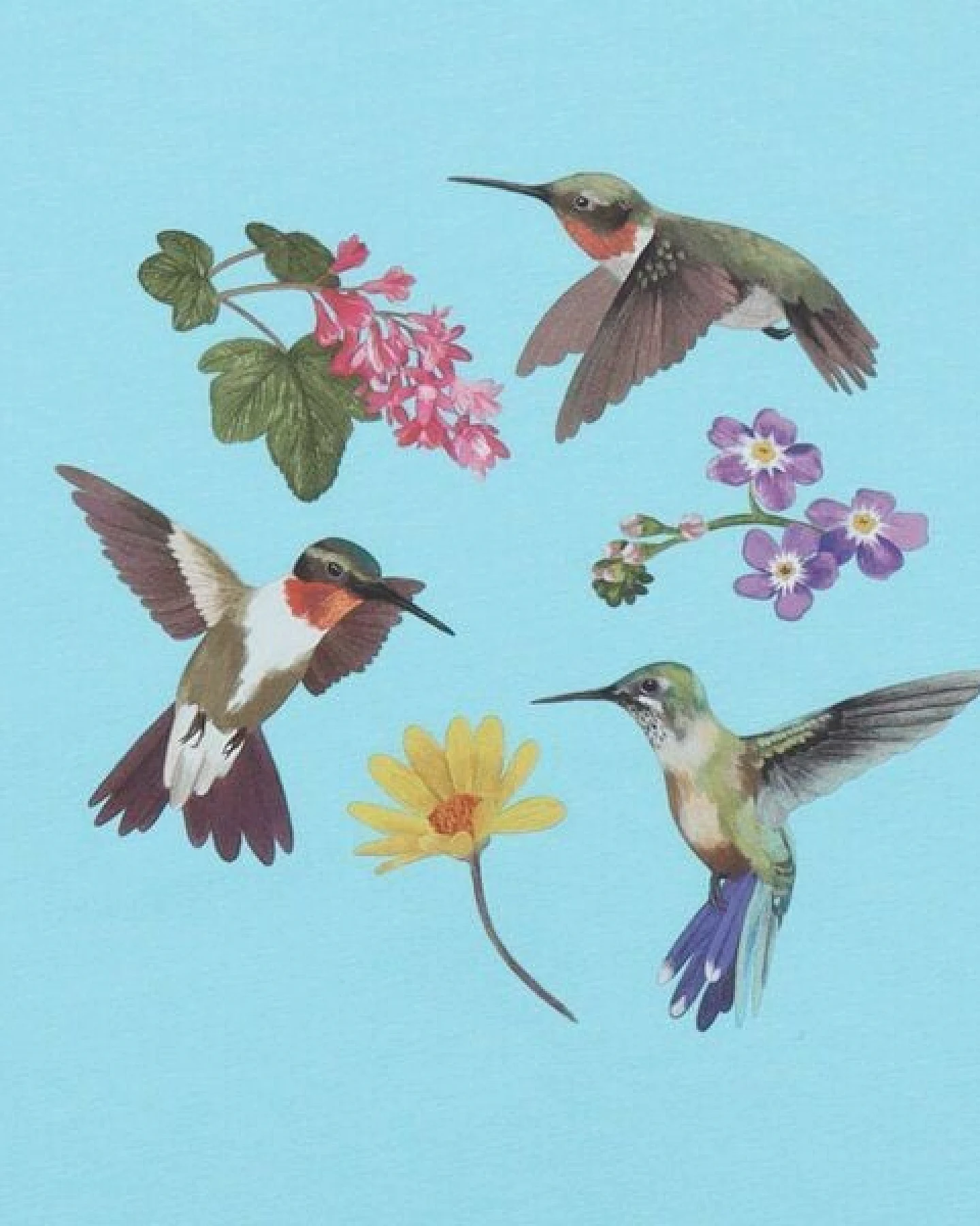 Kinder T-Shirt GOTS zertifiziert – Bio-Baumwolle, Hellblau mit Kolibri- & Blumenmotiv – Ansicht 3