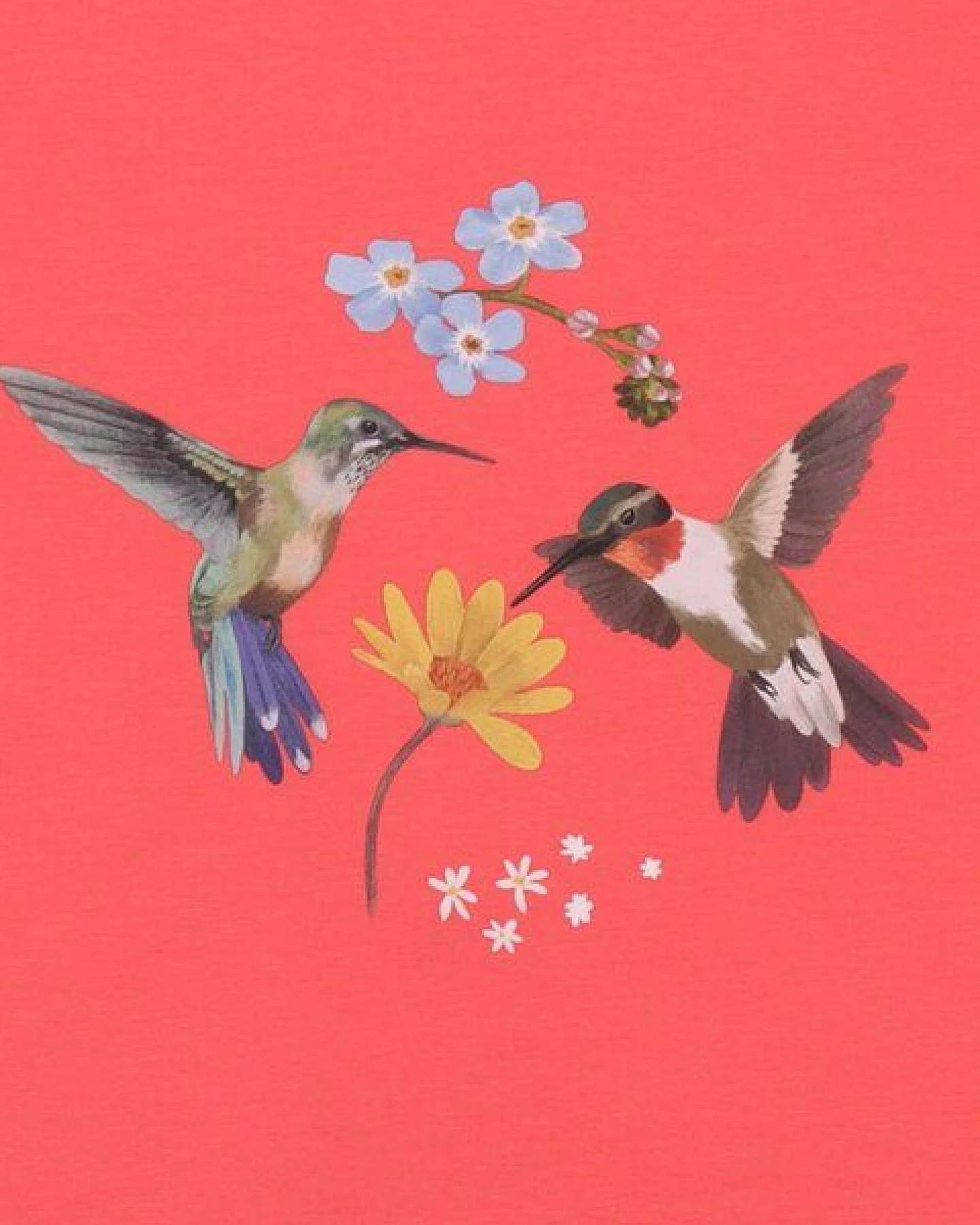 Kinder T-Shirt GOTS zertifiziert, Bio-Baumwolle, korallrot, Kolibri-Blumen-Print, weich & bequem – Walkiddy – Ansicht 3
