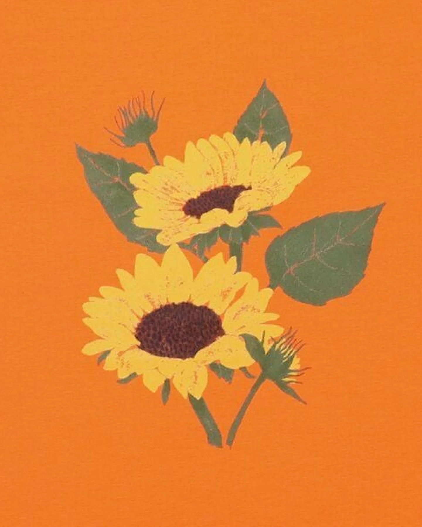 Kinder T-Shirt GOTS-zertifiziert aus Bio-Baumwolle orange mit Sonnenblumen-Motiv – Walkiddy – Ansicht 3