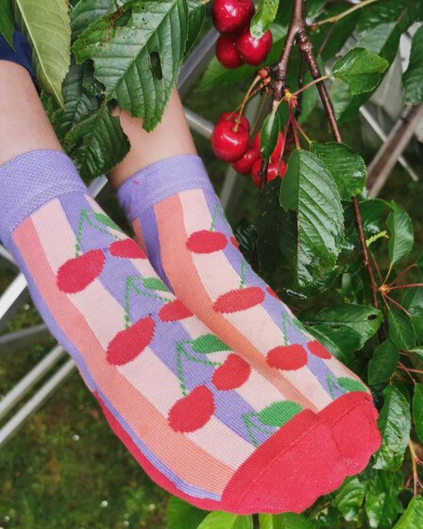 Fräulein Prusselise Cherry Lady Socke, Kirschen, Streifen, colourblock, rosa, lila, orange, rot, bunt – Ansicht 2