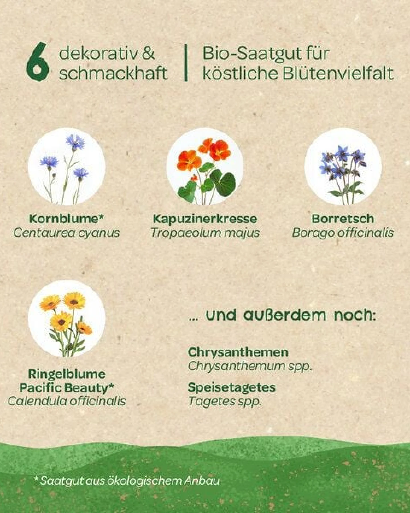 Die Stadtgärtner BIO-Saatgut-Set "Essbare Blüten" I Tolle Deko für deine Gerichte – Ansicht 3