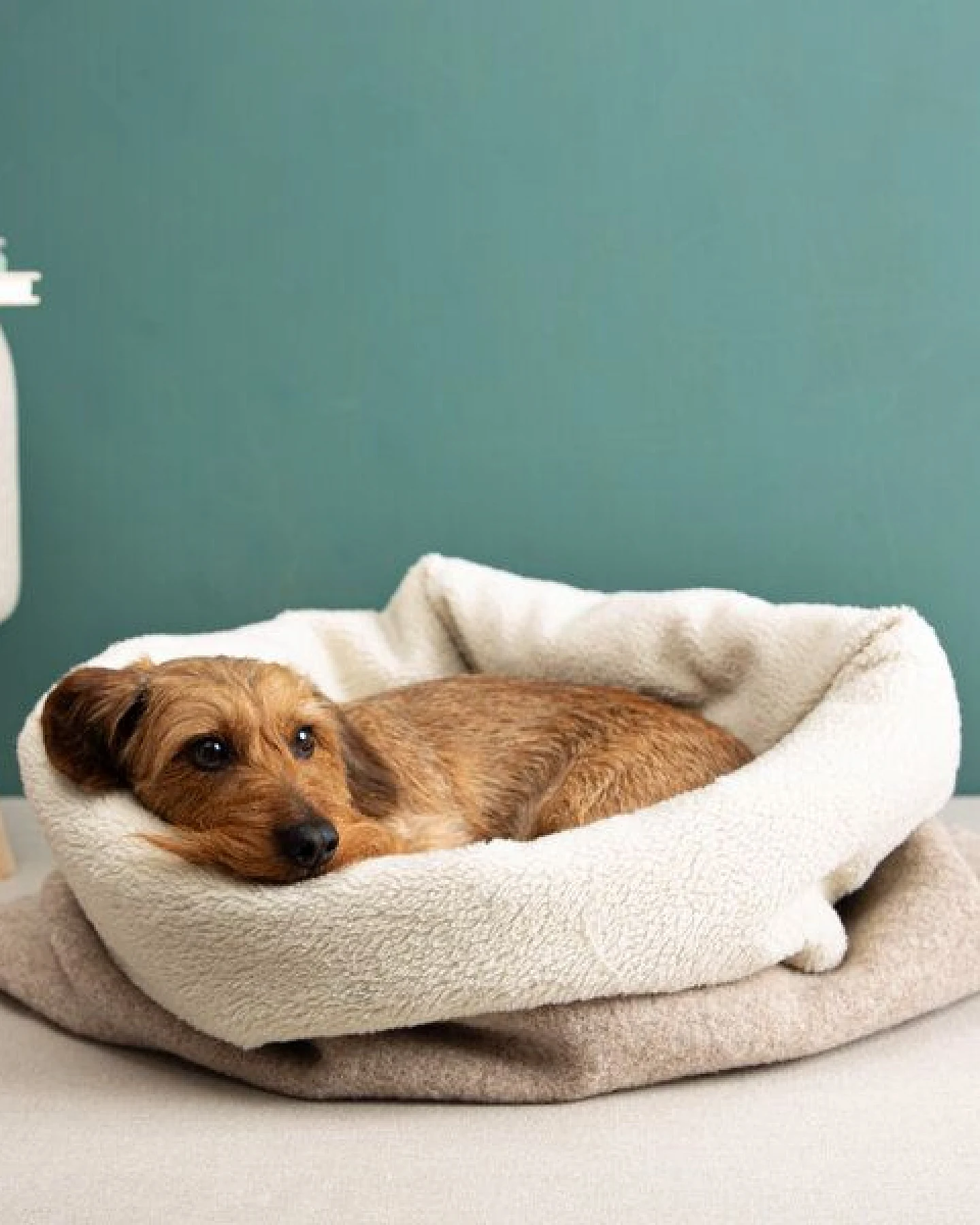 nahtur-design Kuschelsack für Hunde – Ansicht 4
