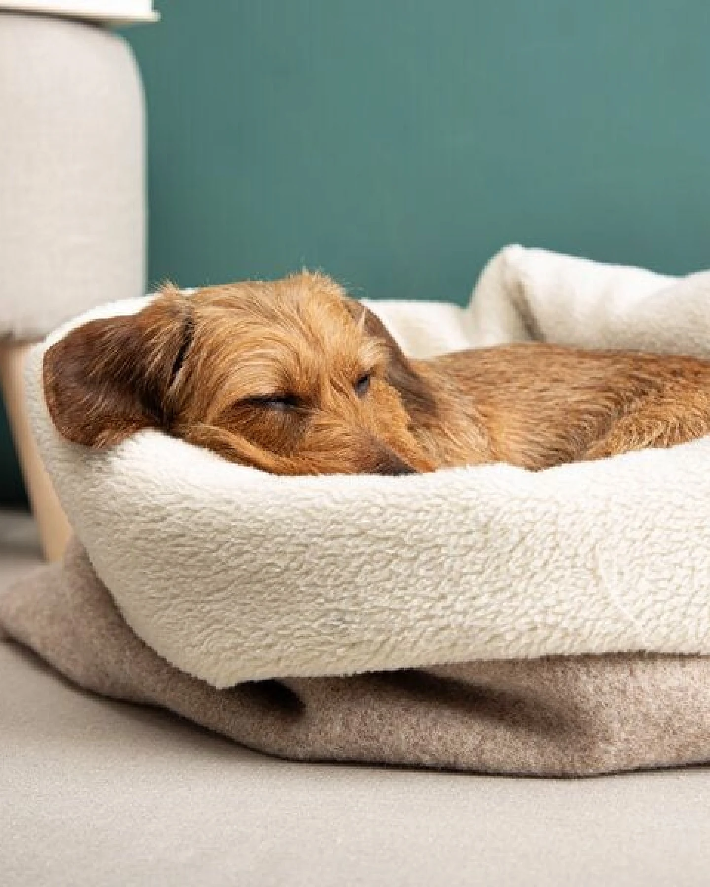 nahtur-design Kuschelsack für Hunde – Ansicht 2