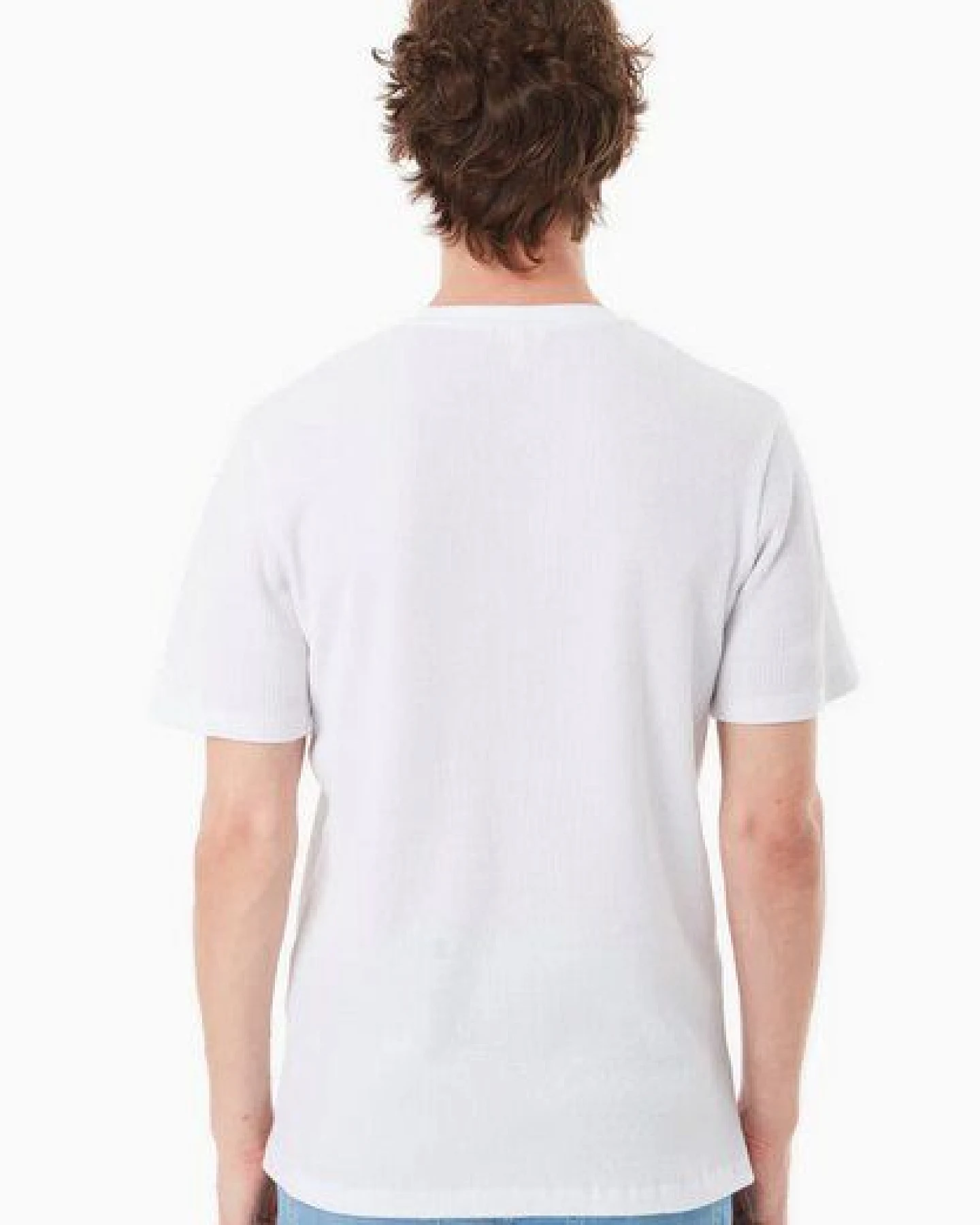 ORGANICATION Basic T-Shirt aus Bio-Baumwolle – Ansicht 4