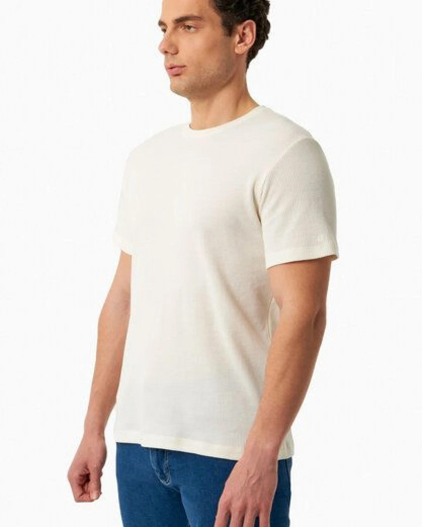ORGANICATION Basic T-Shirt aus Bio-Baumwolle – Ansicht 3