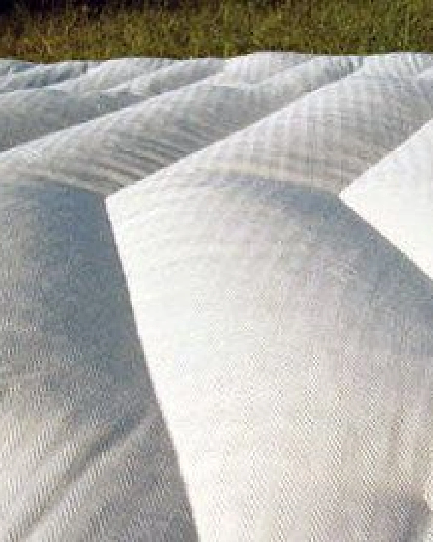 Speltex 6 cm Matratzenauflage Liegematte mit Hirse oder Dinkel (200 cm in den Breiten 70, 80 oder 90 cm) – Ansicht 2