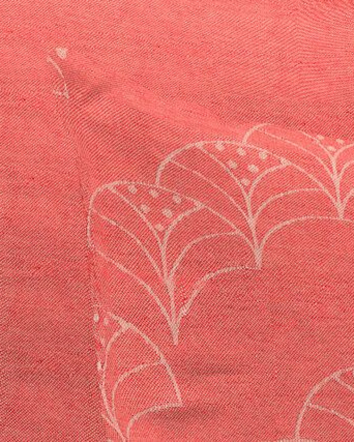 Nature by Adam Kissenhülle aus 100% Bio-Baumwolle - Made in Germany - Argentinian Criolla Light – Ansicht 4