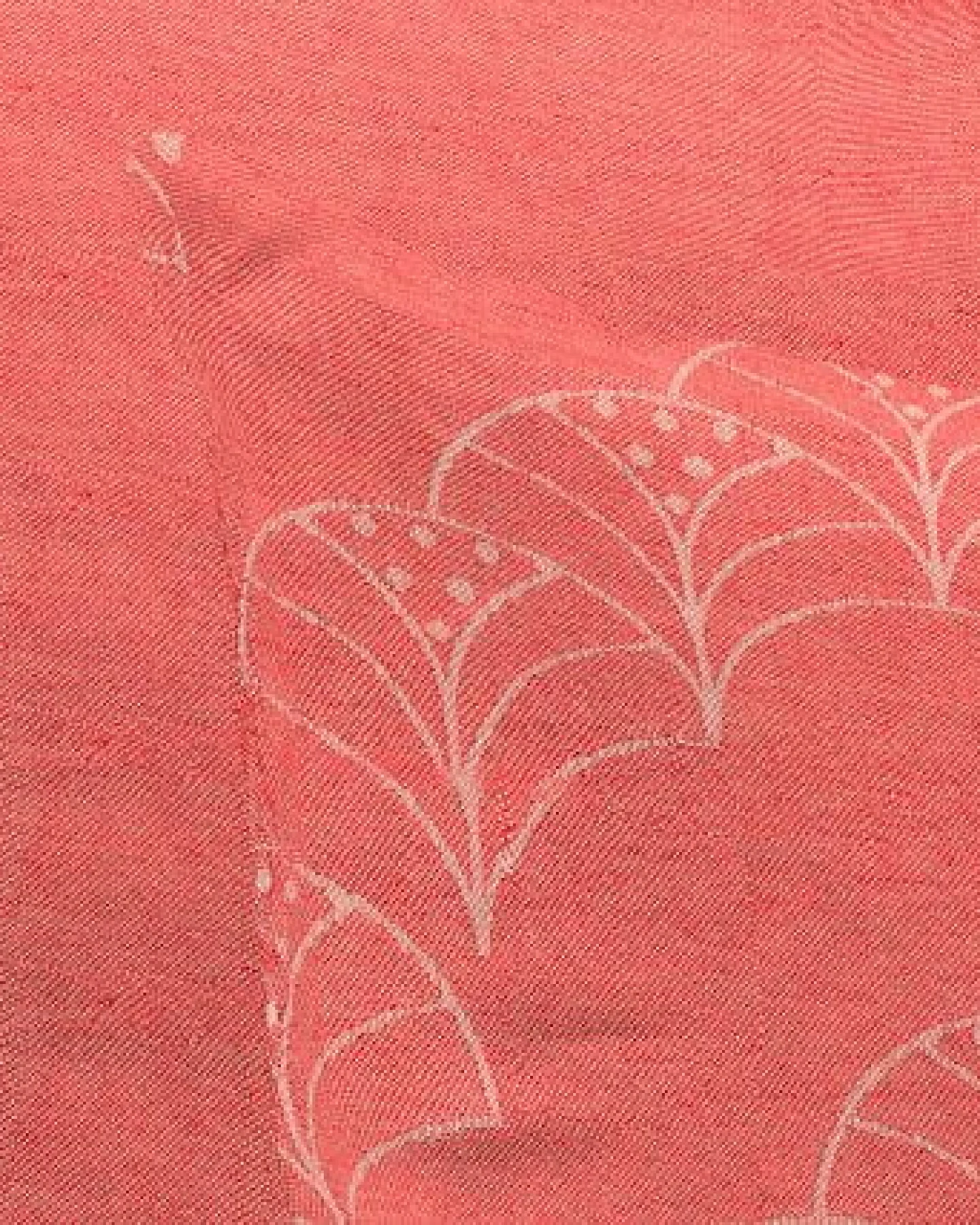 Nature by Adam Kissenhülle aus 100% Bio-Baumwolle - Made in Germany - Argentinian Criolla Light – Ansicht 4