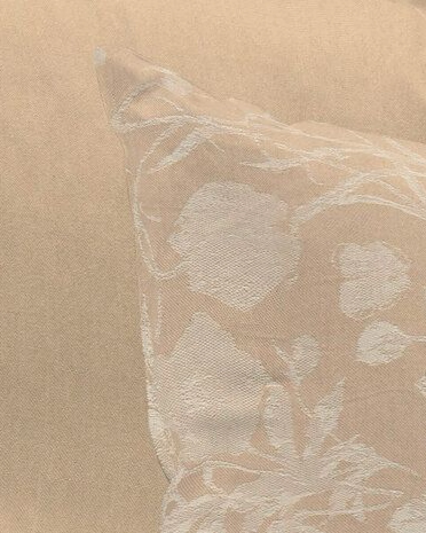 Nature by Adam Kissenhülle aus 100% Bio-Baumwolle - Made in Germany - Flower Cuveé Light – Ansicht 2