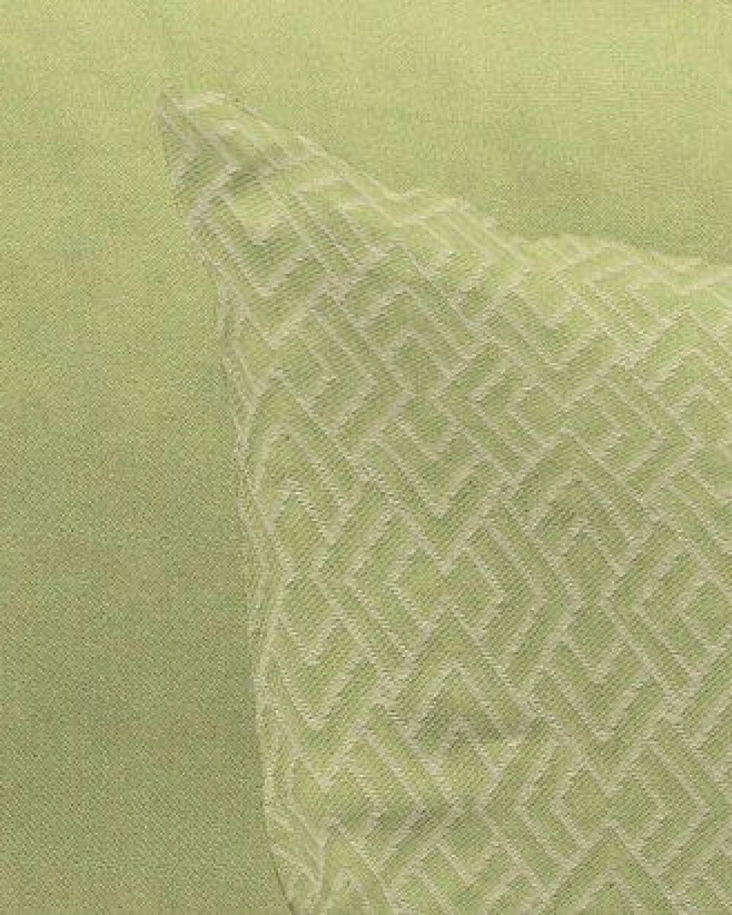 Nature by Adam Kissenhülle aus 100% Bio-Baumwolle - Made in Germany - Graphic Ventus – Ansicht 2