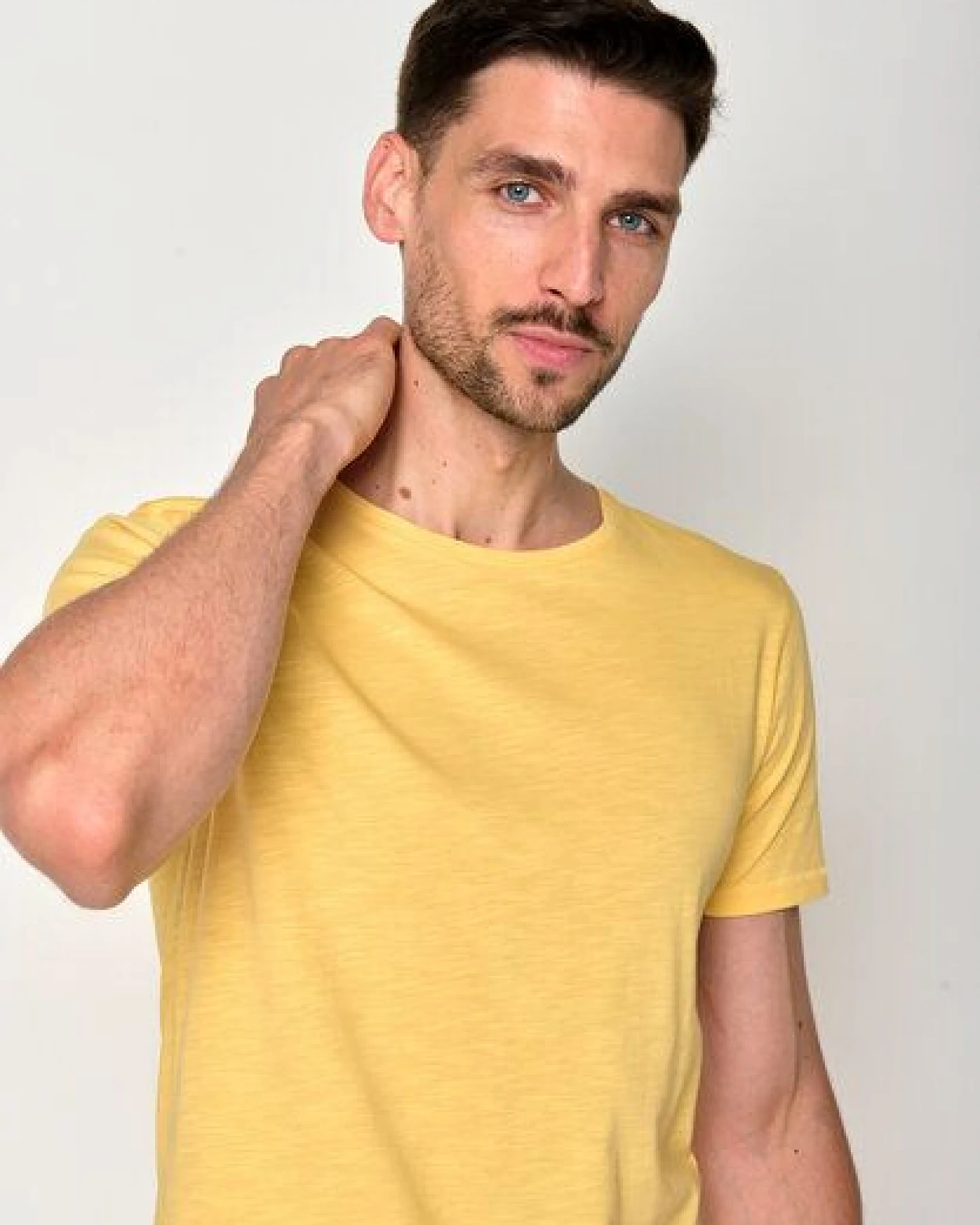 GREENBOMB Basic T-Shirt Spice – Ansicht 4