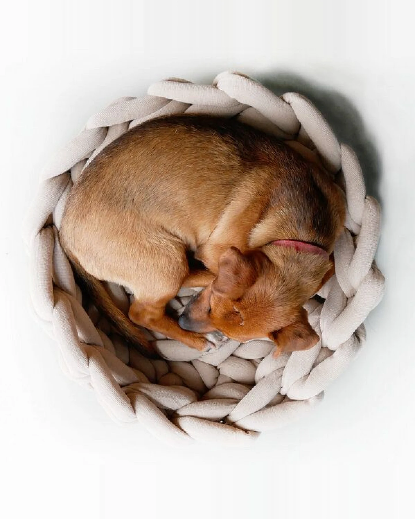 PANAPUFA Luxus-Hundebett aus Big Cotton – handgefertigt – Ansicht 2