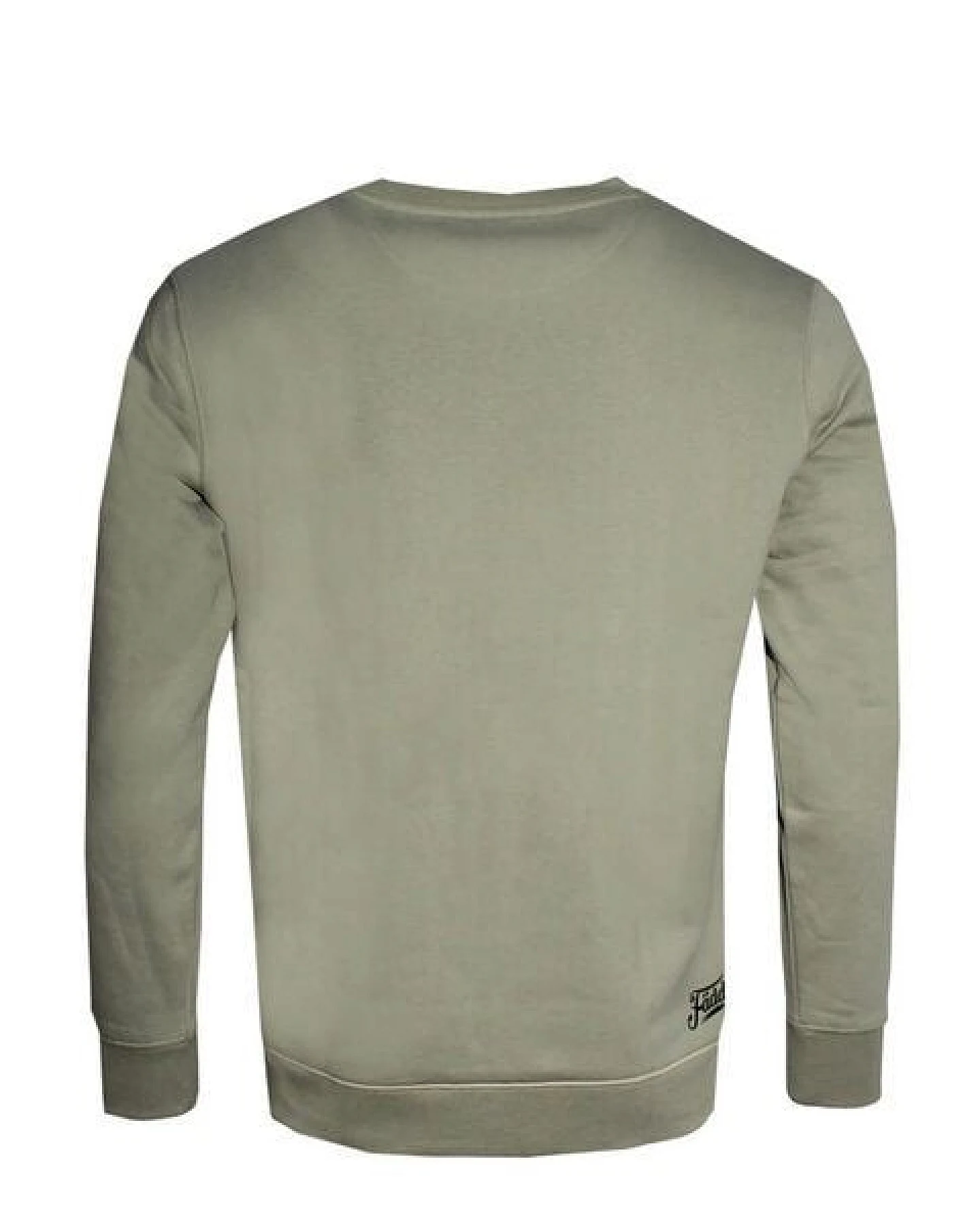 Herren Sweatshirt Pullover aus Bio-Baumwolle "Möwn BT" Grün von Fädd – Ansicht 3