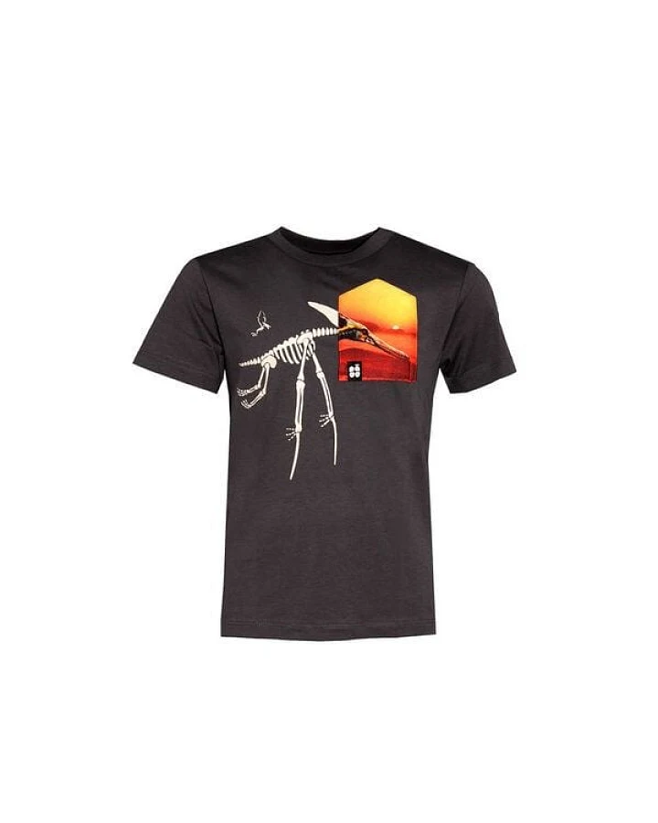 Kinder T-Shirt Rundhals aus Bio-Baumwolle "Pteranodon BT" Grau Fädd