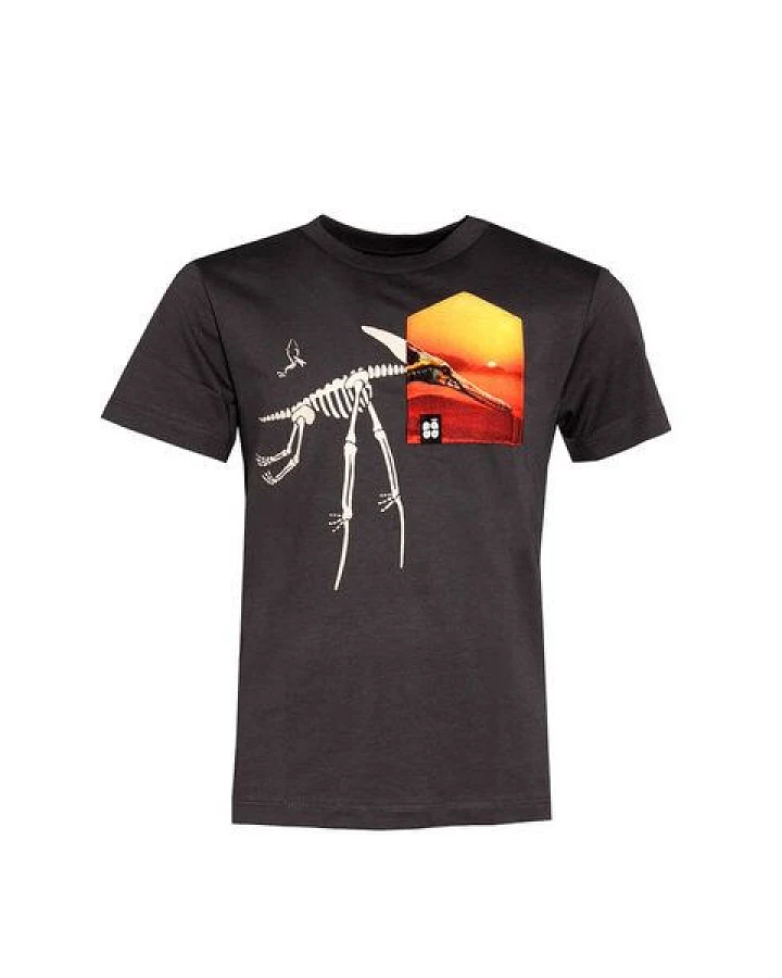 Kinder T-Shirt Rundhals aus Bio-Baumwolle "Pteranodon BT" Grau Fädd