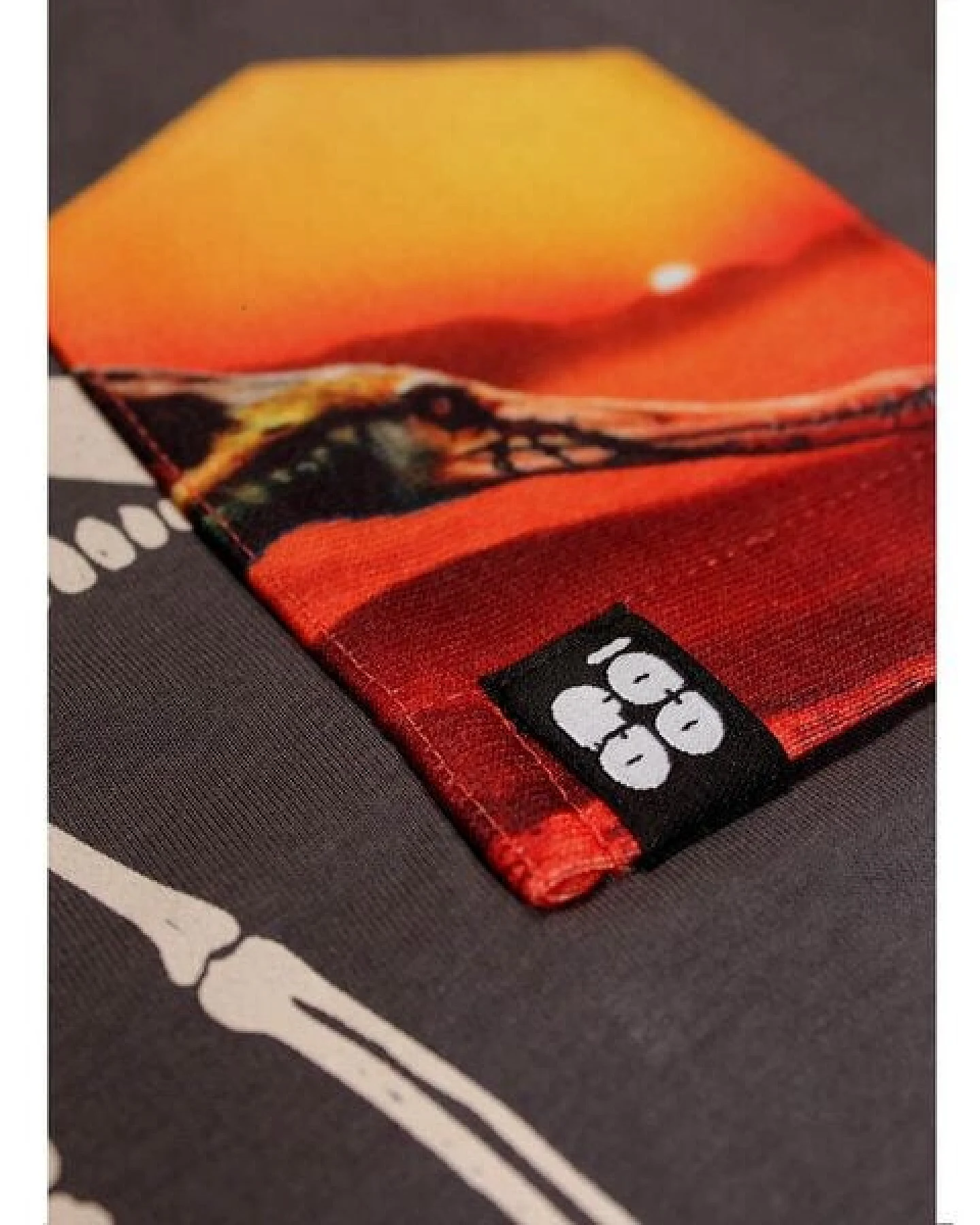 Kinder T-Shirt Rundhals aus Bio-Baumwolle "Pteranodon BT" Grau Fädd – Ansicht 4