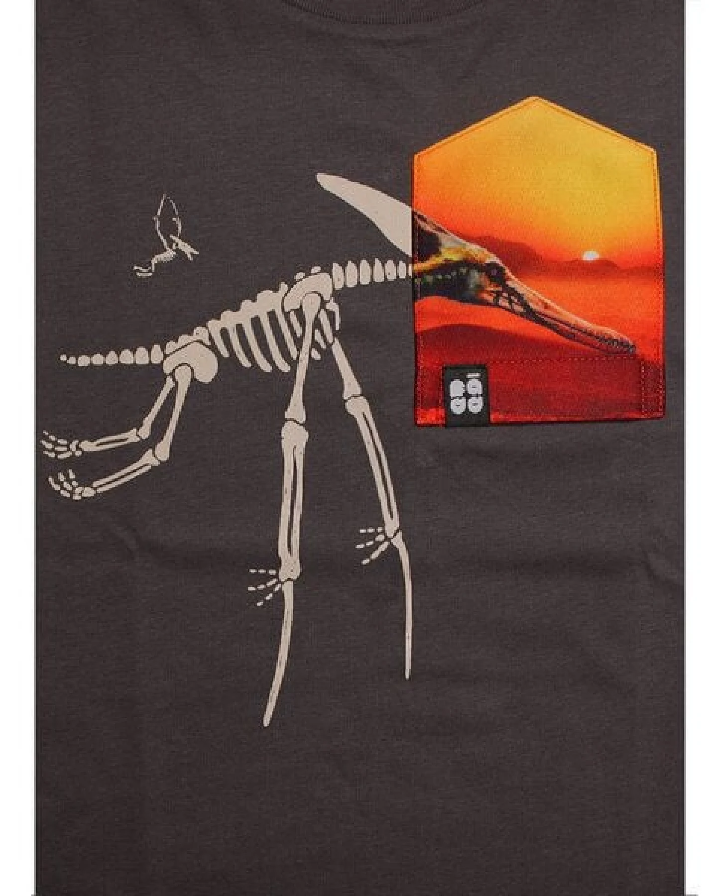 Kinder T-Shirt Rundhals aus Bio-Baumwolle "Pteranodon BT" Grau Fädd – Ansicht 2