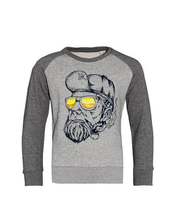 Kinder Sweatshirt Pullover Biobaumwolle "Hippster Hans" Grau von Fädd