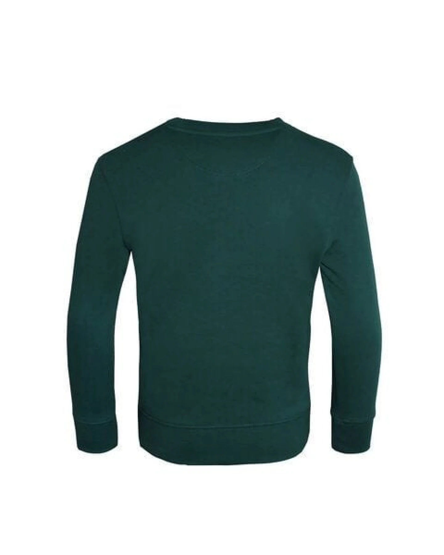 FÄDD Kinder Sweatshirt Pullover Biobaumwolle "Butterfliege BT (Kidz)" Grün – Ansicht 3