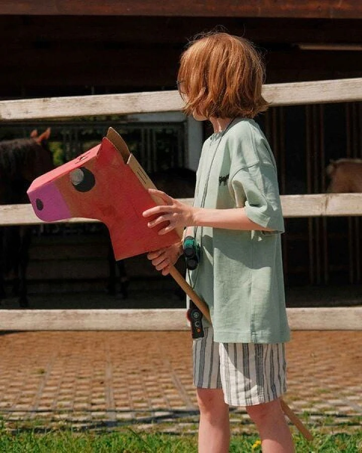 Papperlapapp Steckenpferd *Little Knabstrupper*