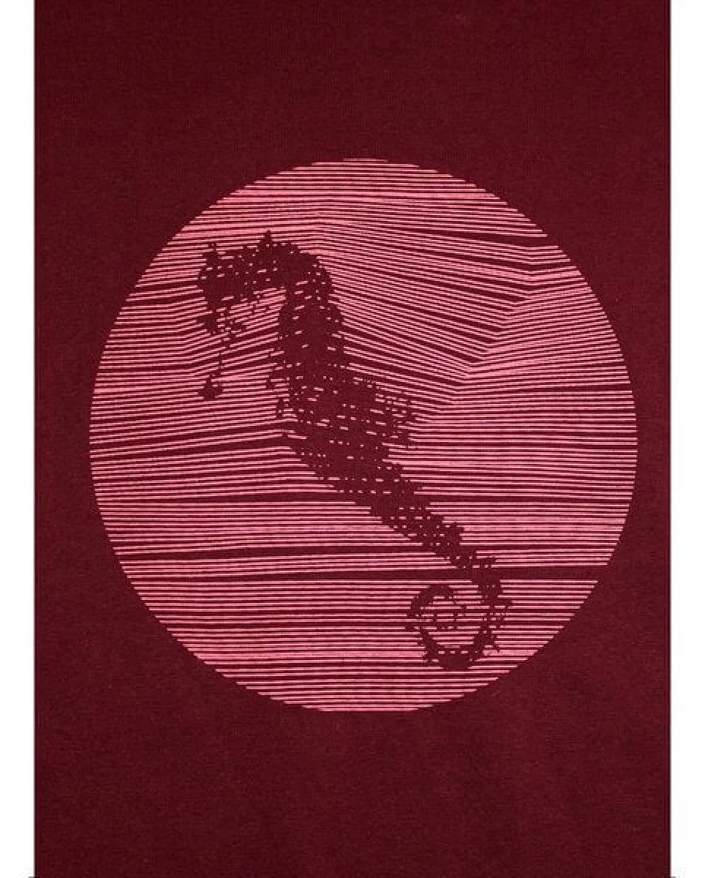 Damen T-Shirt Rundhals aus Bio-Baumwolle "Hippocampus" Rot von Fädd – Ansicht 4