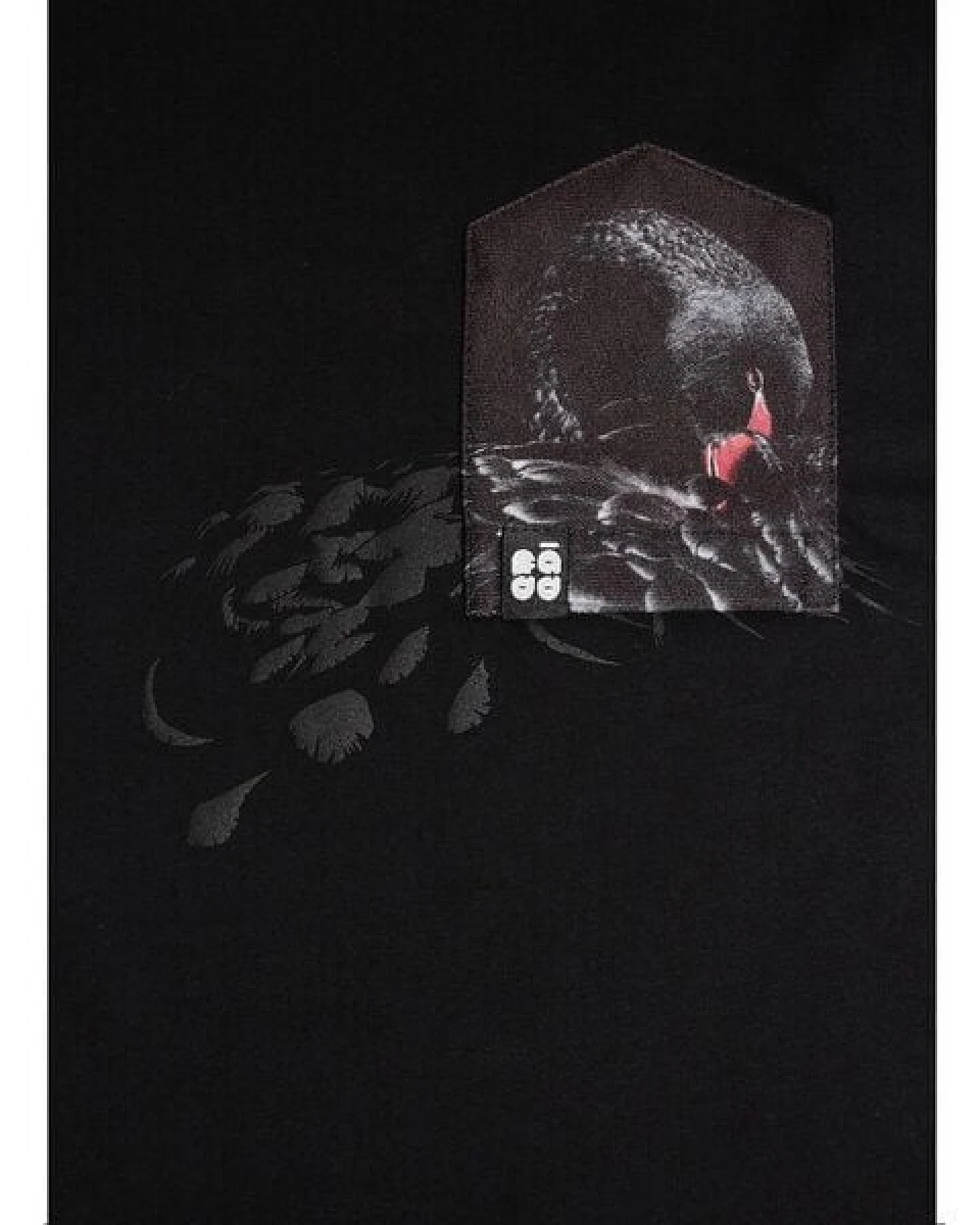 FÄDD Damen T-Shirt Rundhals aus Bio-Baumwolle "Schwarzes Schwan BT" Schwarz – Ansicht 2