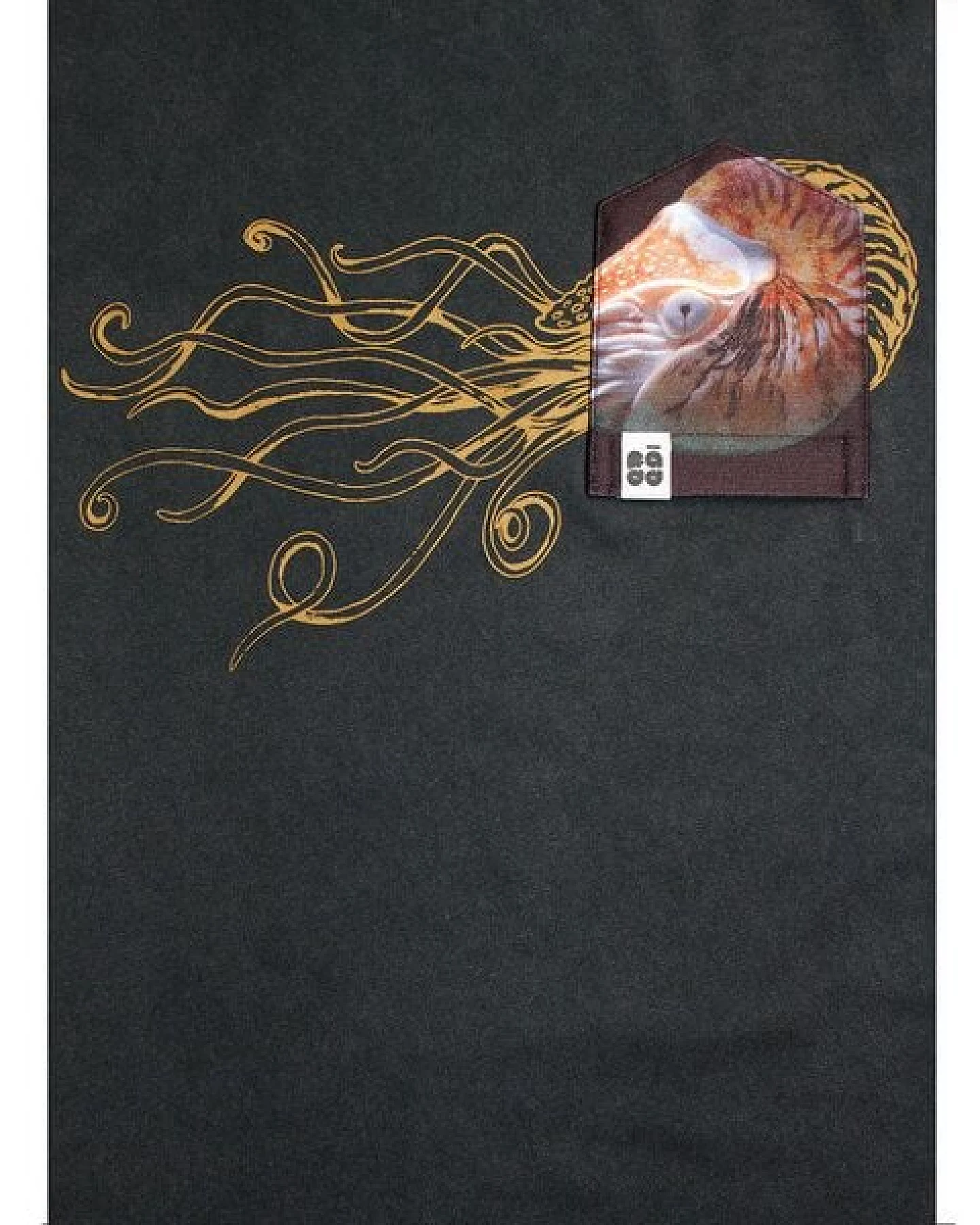 FÄDD Damen T-Shirt Rundhals aus Bio-Baumwolle "Nautilust BT" Grau – Ansicht 2