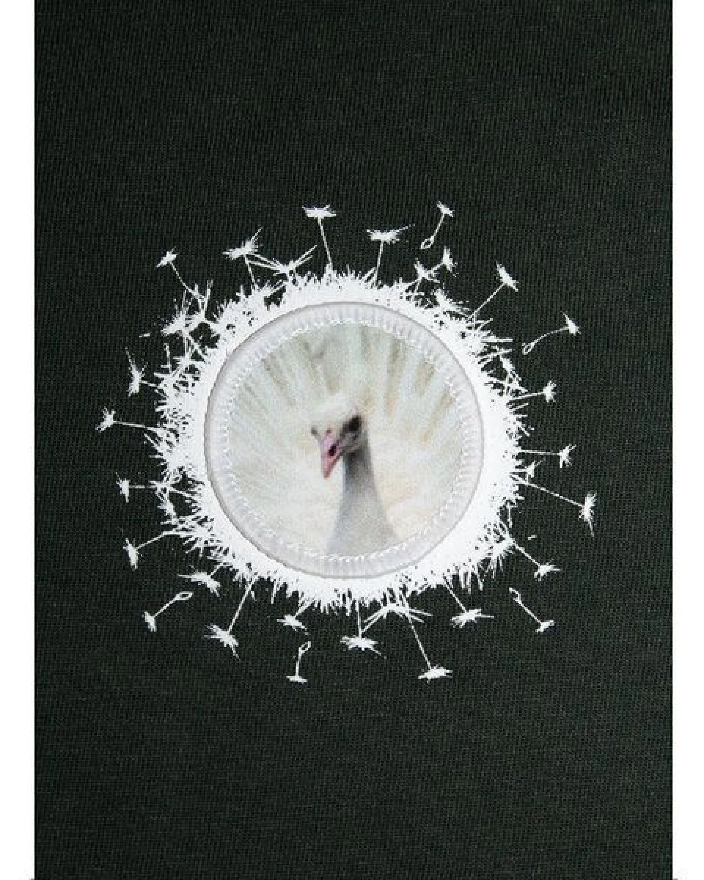 FÄDD Damen T-Shirt Rundhals aus Bio-Baumwolle Vau PäP Print änd Pätsch Grün – Ansicht 2