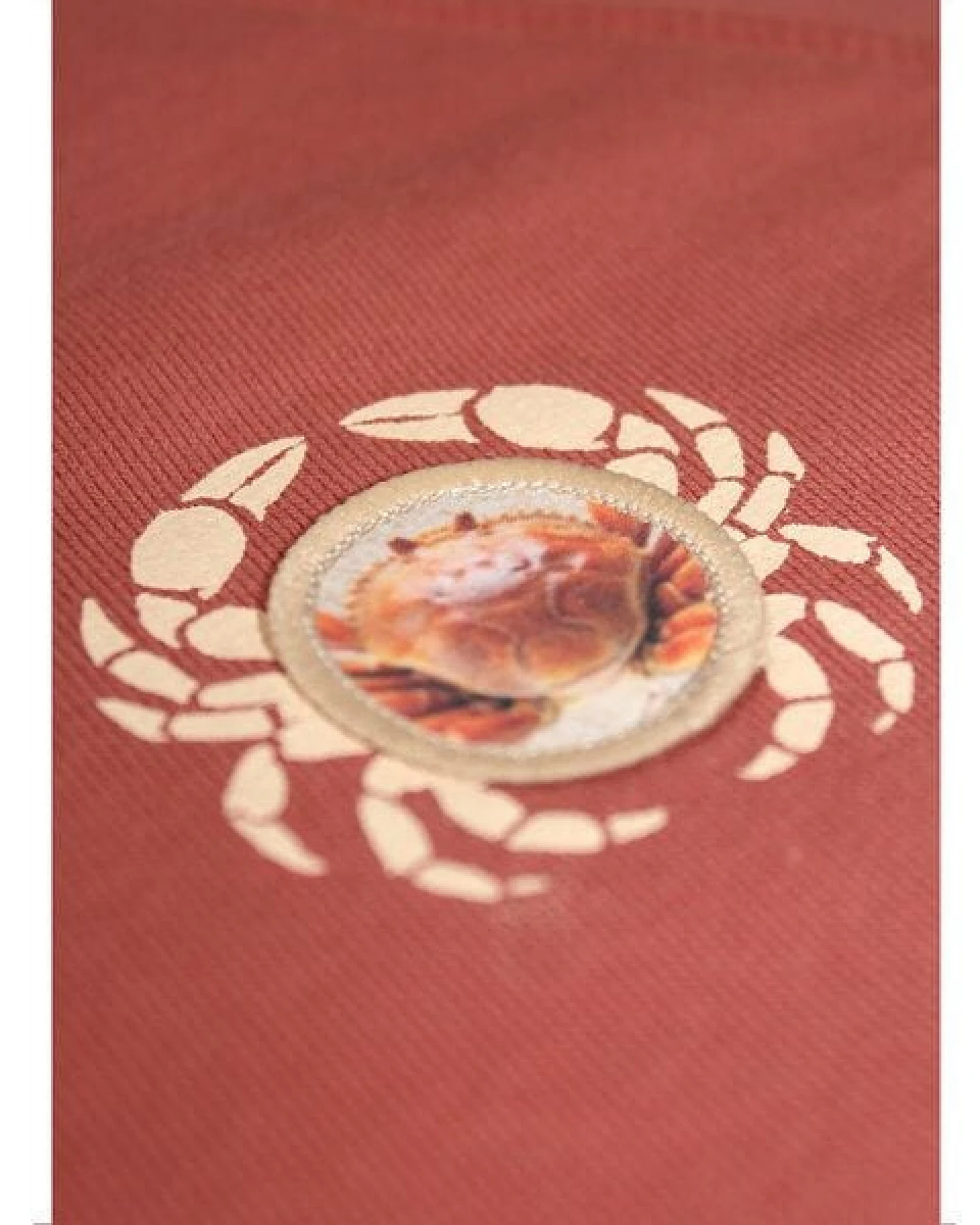 FÄDD Damen Sweatshirt Pullover aus Bio-Baumwolle "Kräbbs PäP Bätwing" Rot – Ansicht 4